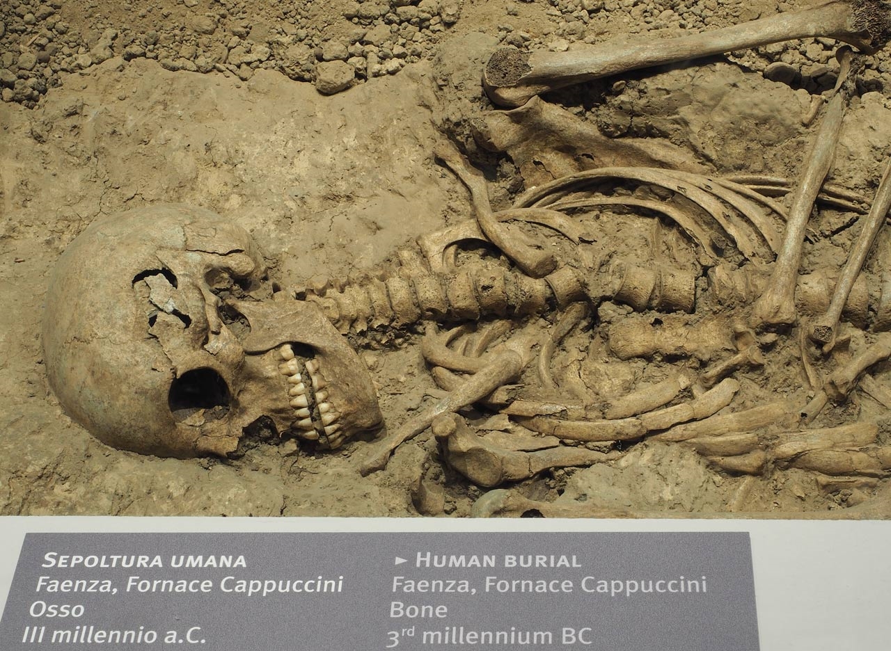Ravenna: Combo Classis Museum and Basilica of Sant' Apollinare  - Photo 28