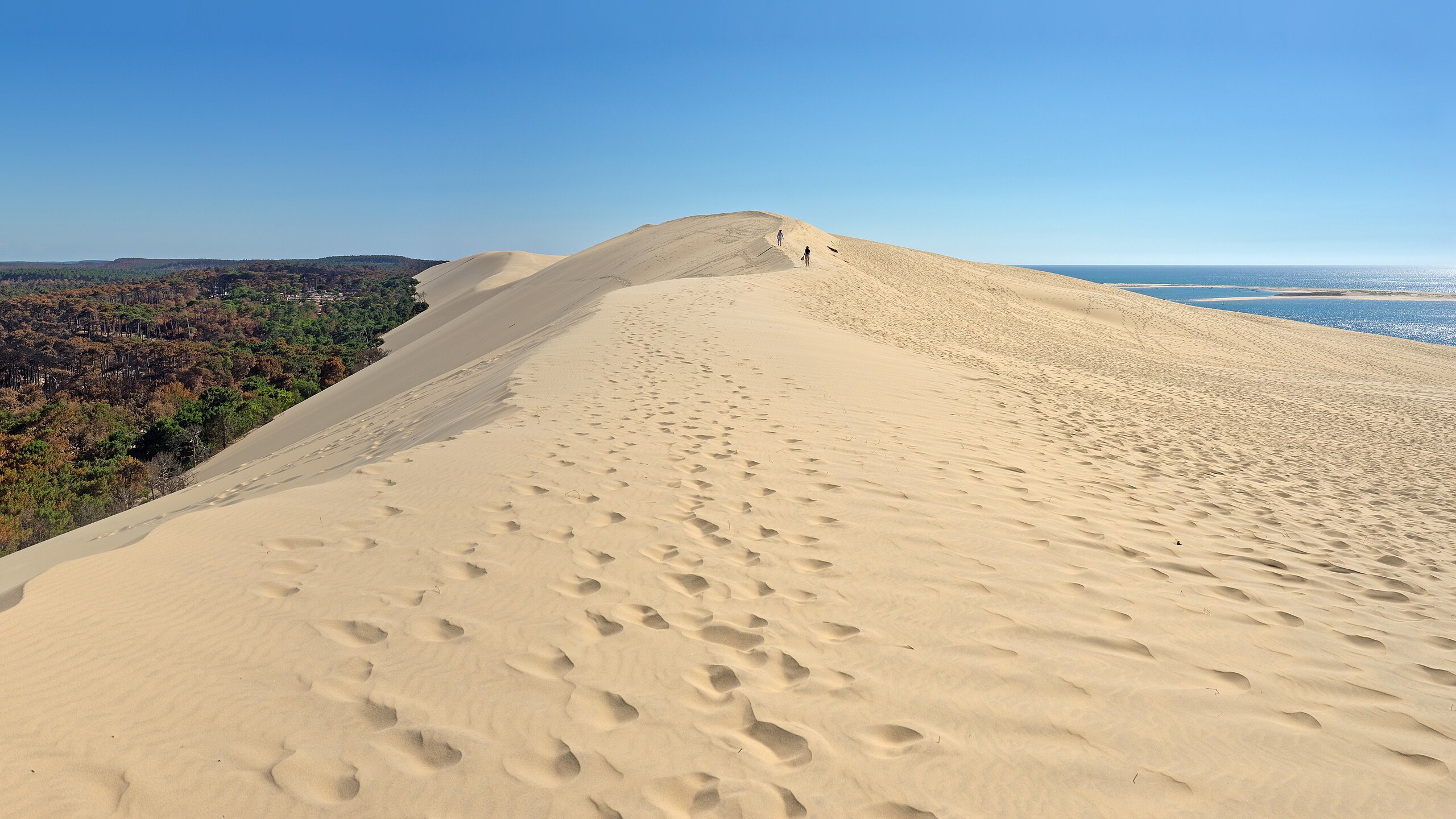 Private Bordeaux Shore Excursion: Arcachon Beauty & Pilat Dune Views