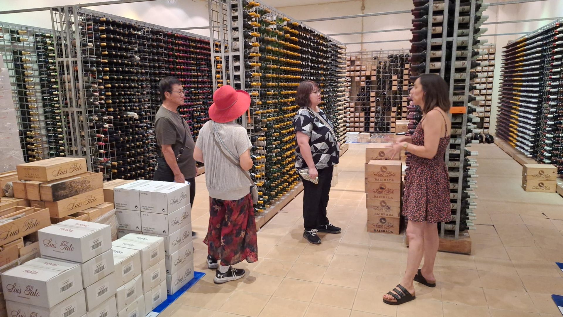 Private Bairrada Wine Tour from Porto with Two Historic Caves - Photo 10