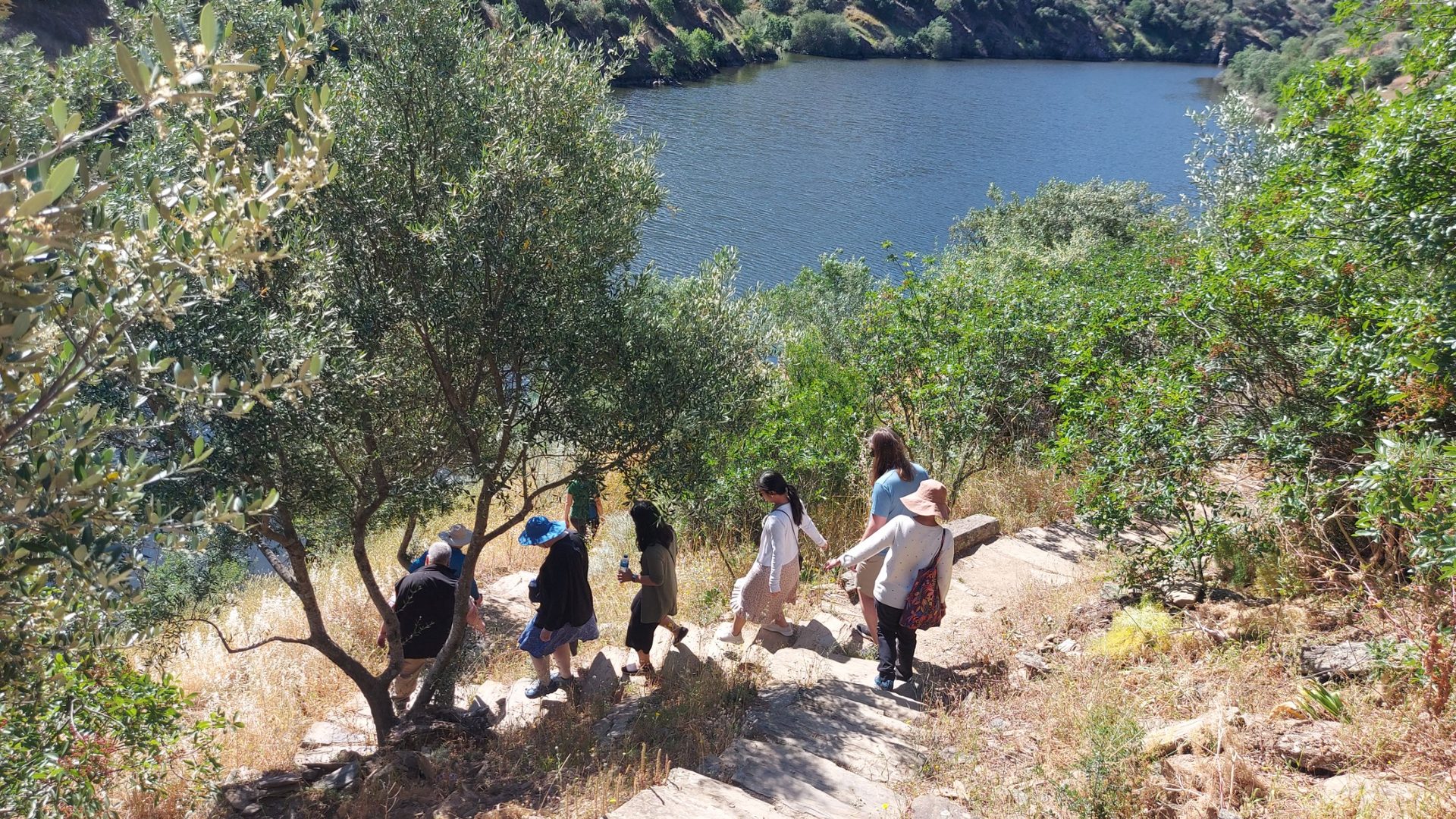 Private Douro Tour: Foz Côa Rock Art, Pinhão and Scenic Douro - Photo 4