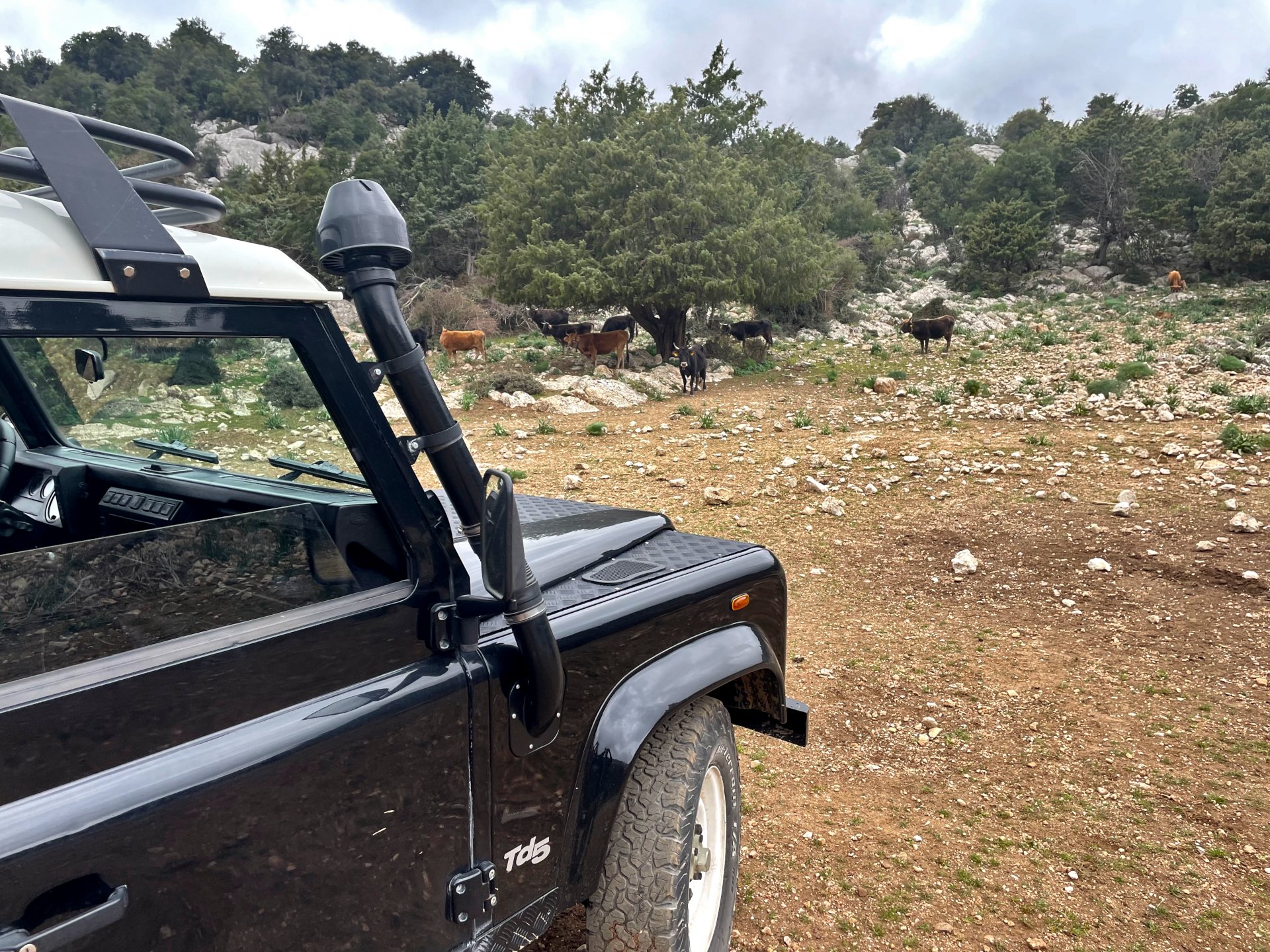 From Cala Gonone: gastronomy and crafts jeep tour in Dorgali - Photo 9