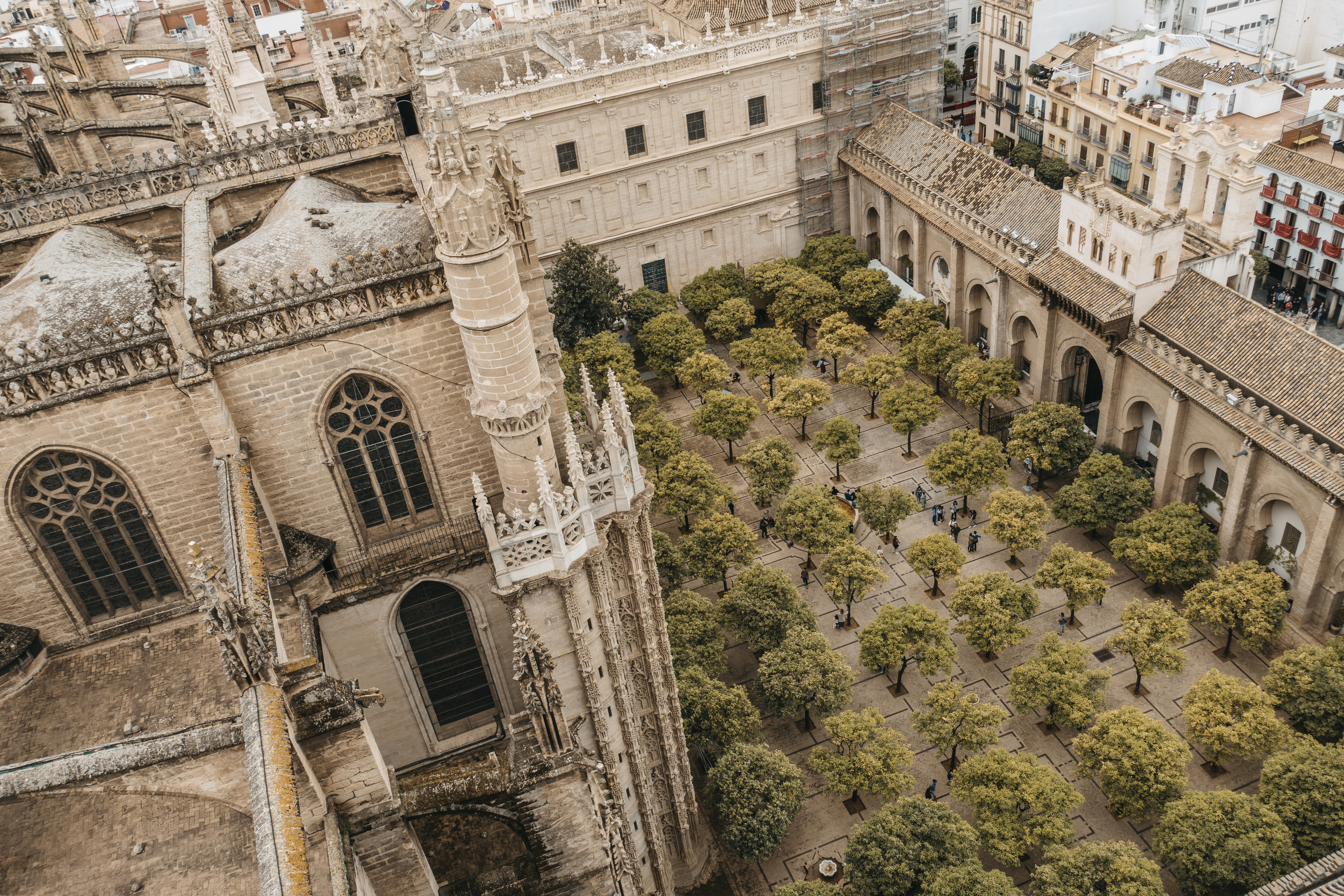 Giralda and Cathedral of Seville private tour – Image 3 | WeShare