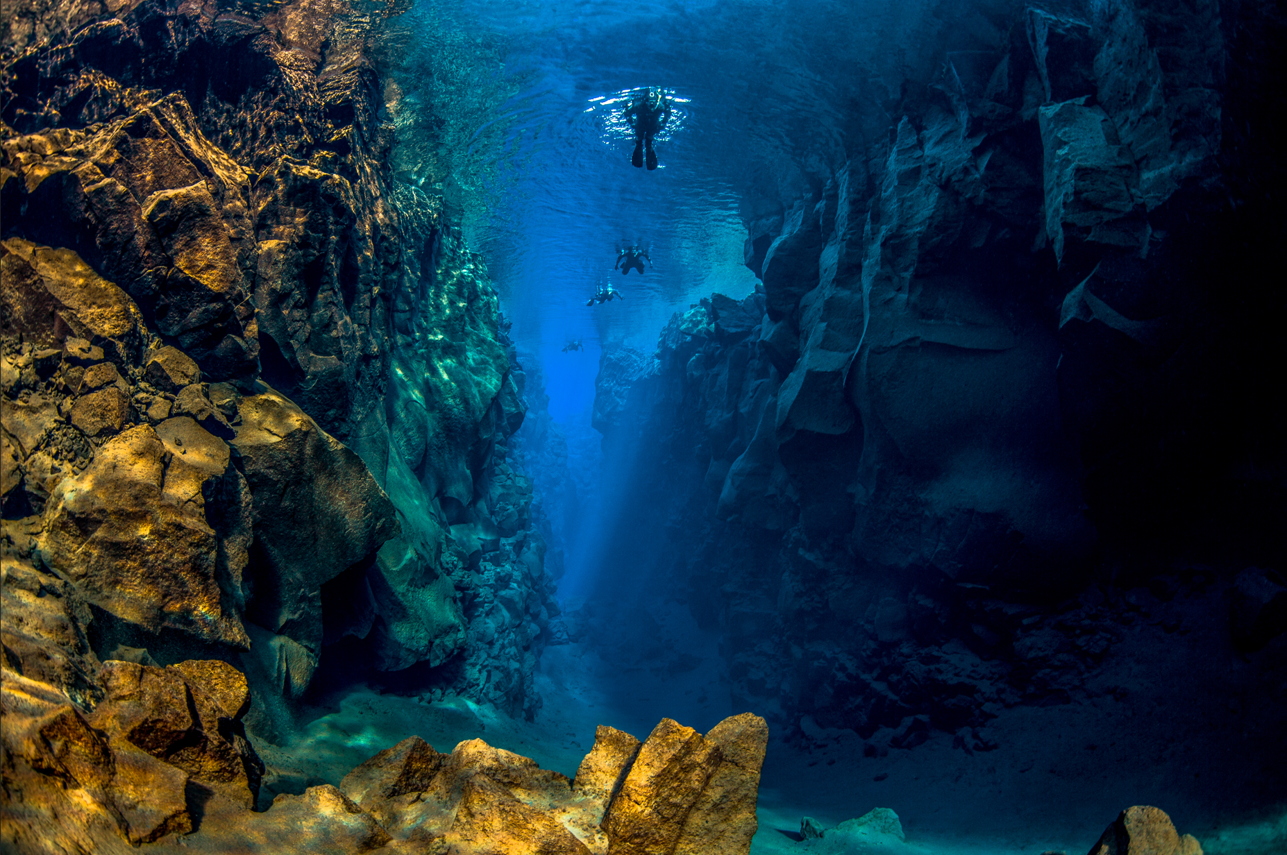 Horse Riding & Snorkeling from Reykjavik
