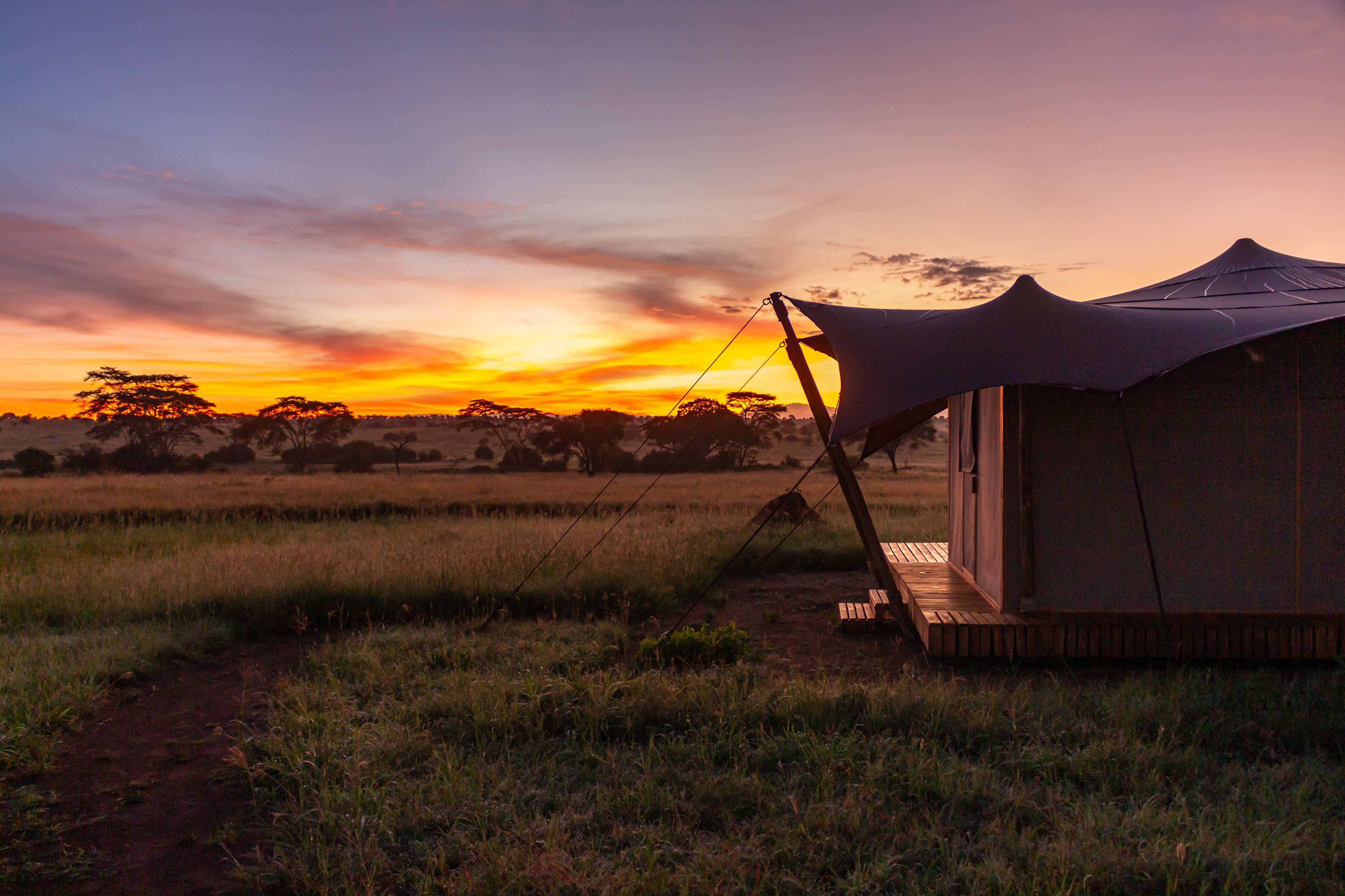 Anantya Serengeti - Tienda de campaña superior de lujo