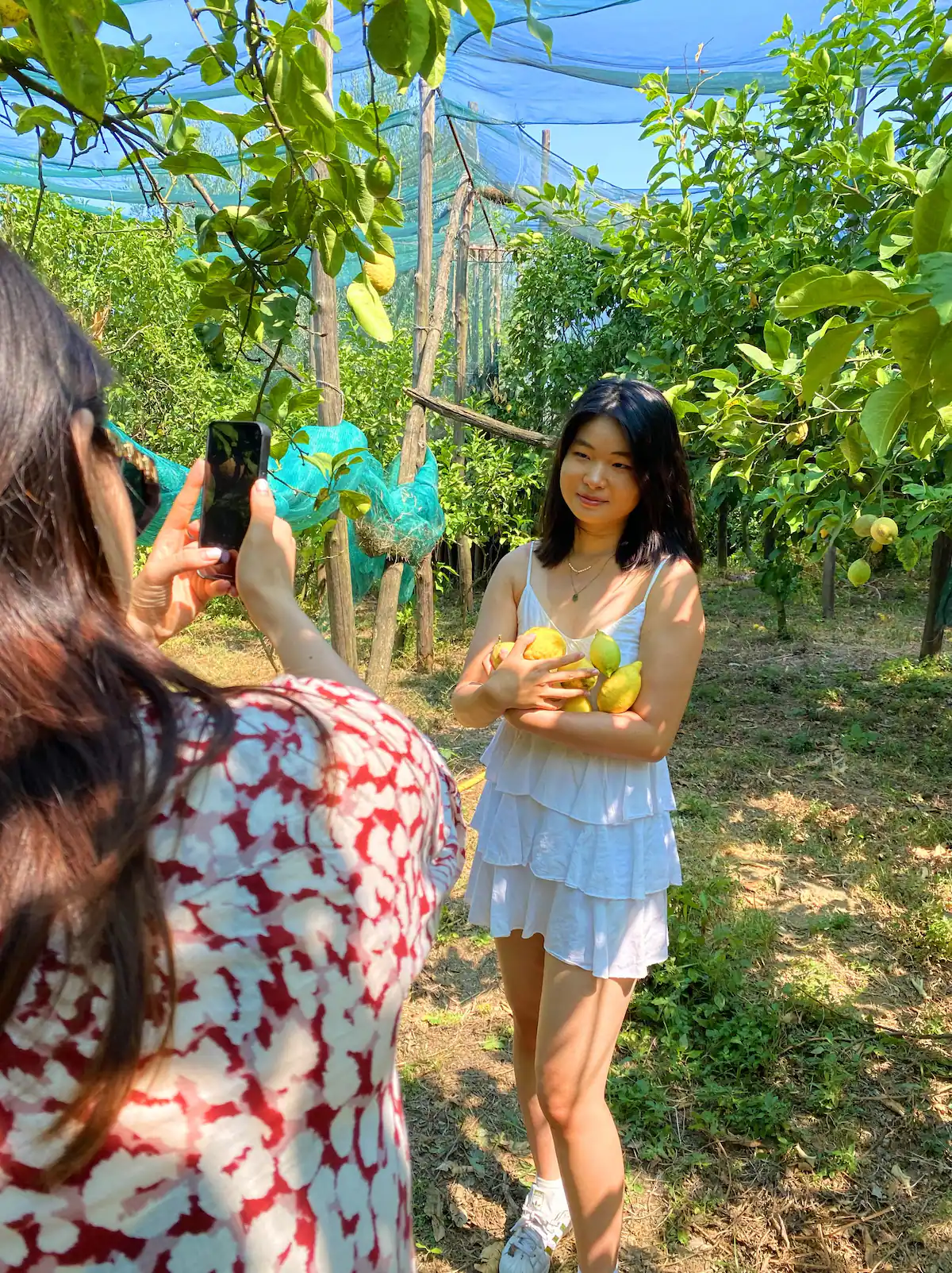 Sorrento: Authentic Lemon Experience at a Local Farmhouse - Photo 6