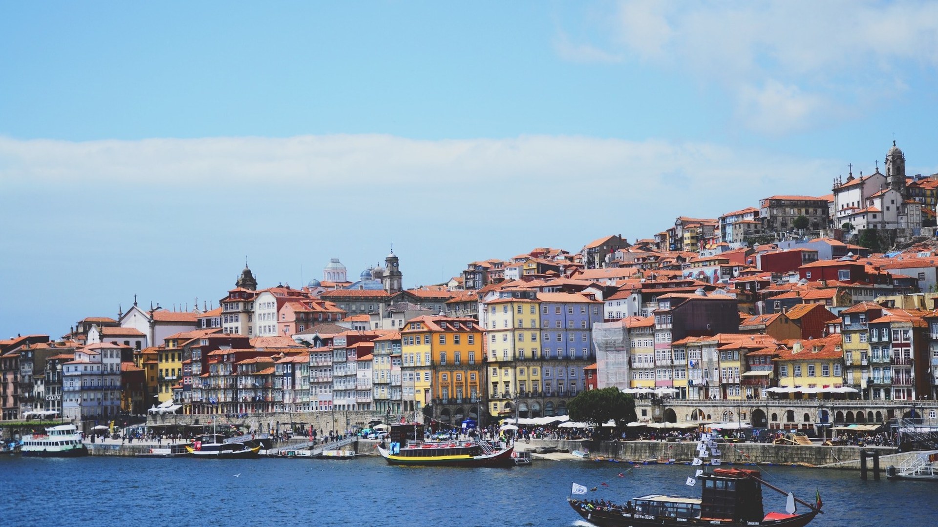 Private Porto Afternoon Tour: Old Town Icons and Bridge Viewpoints - Photo 15