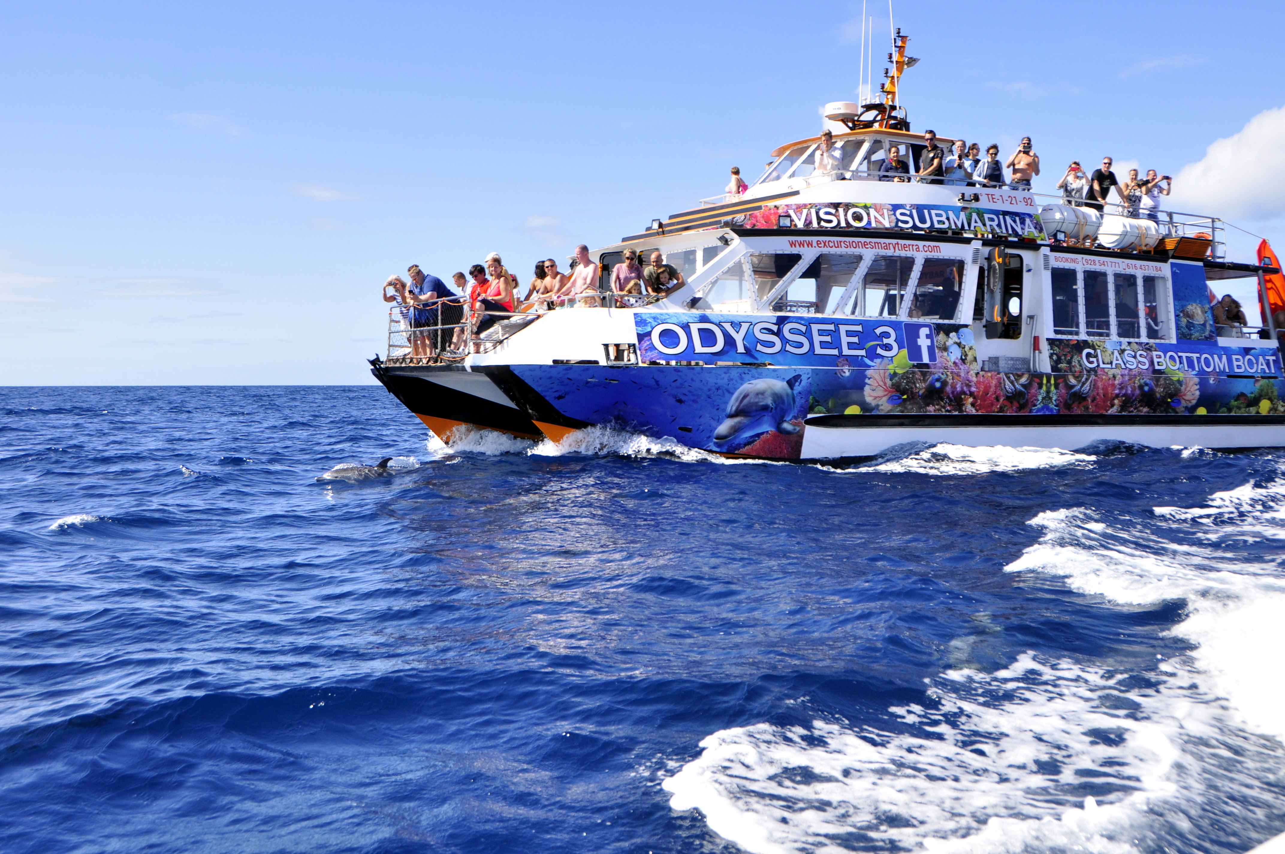 Odyssee Catamaran Tour en la costa sur de Fuerteventura
