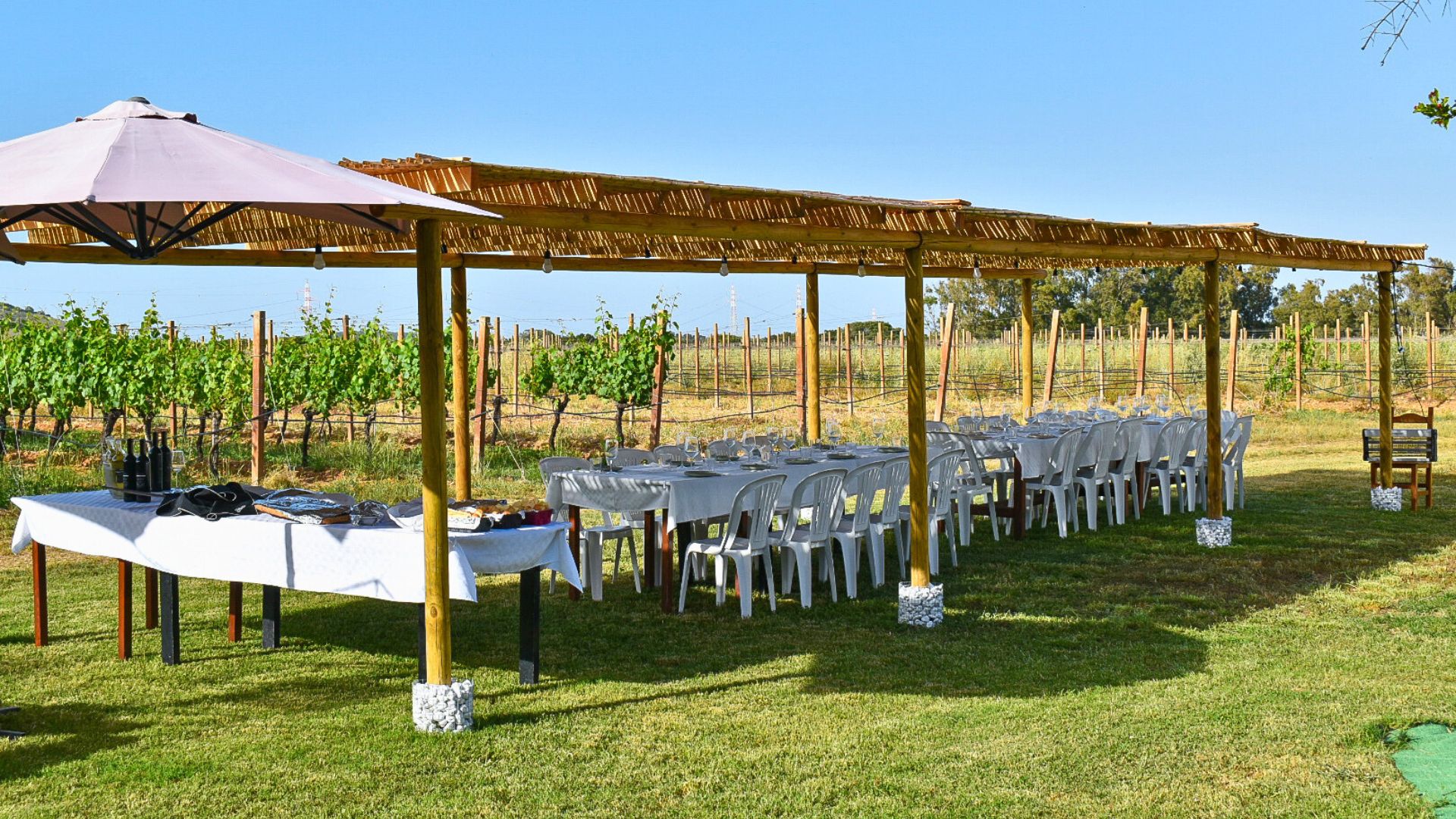 Alghero: lunch or dinner in the vineyard - Photo 8