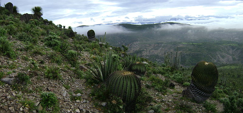 Mexico City to Riviera Maya: An Odyssey Through Mexican Wonders (15 Days) — 14/15