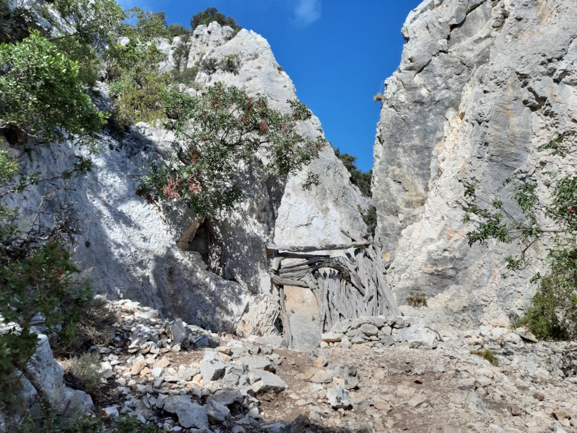 From Baunei: trekking to Cala Mariolu - Photo 12