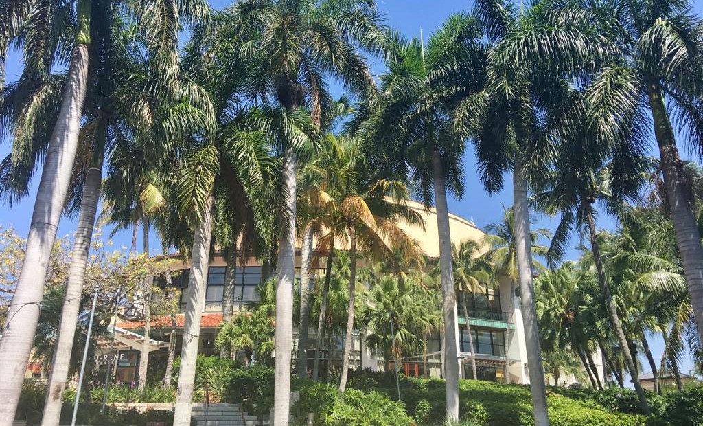 WET & DRY FORT LAUDERDALE  - Photo 8
