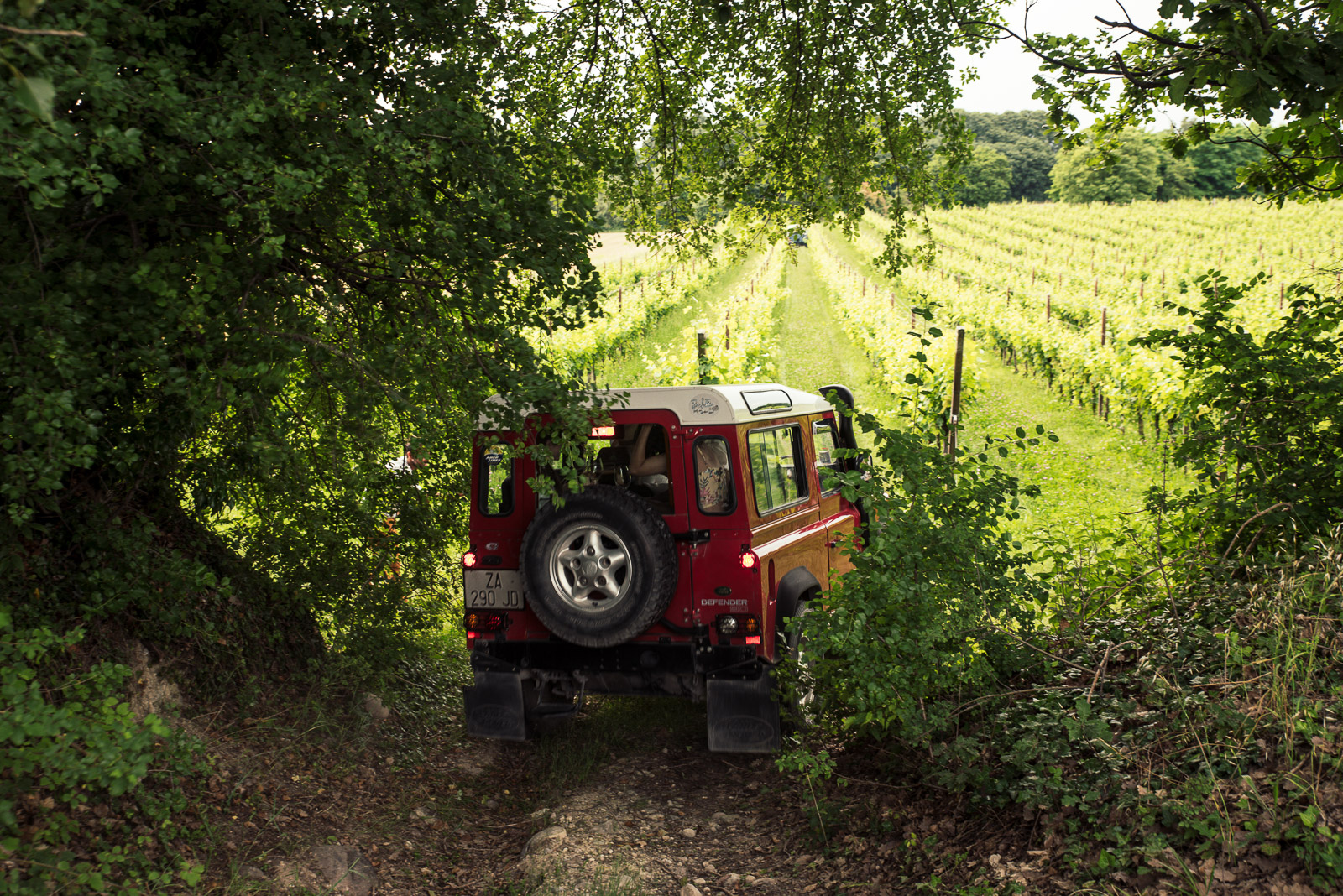 4x4 Vineyard Tour with WineTasting Experience - Photo 16