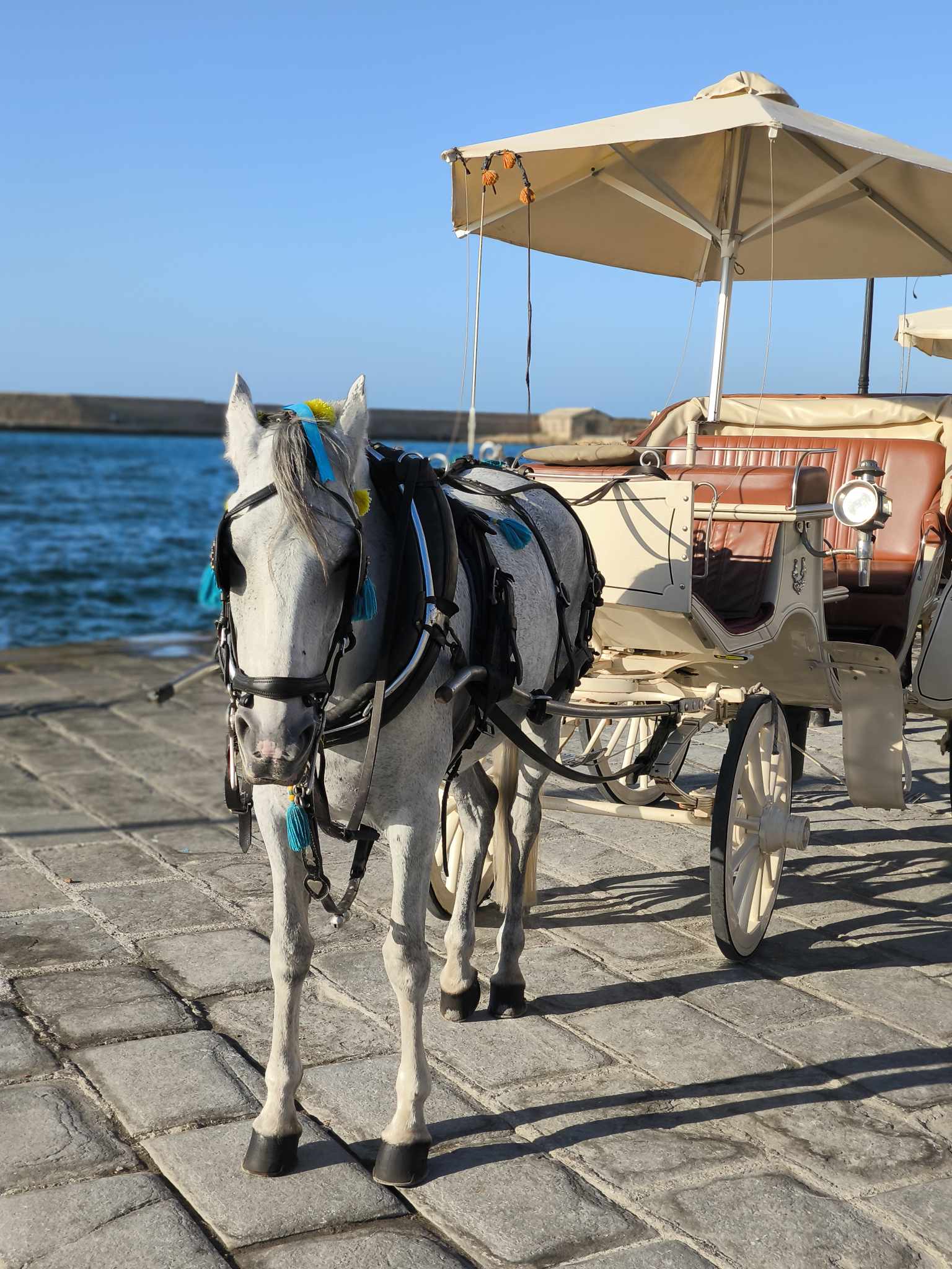 Explore Aptera & Chania – Semi-Private Tour