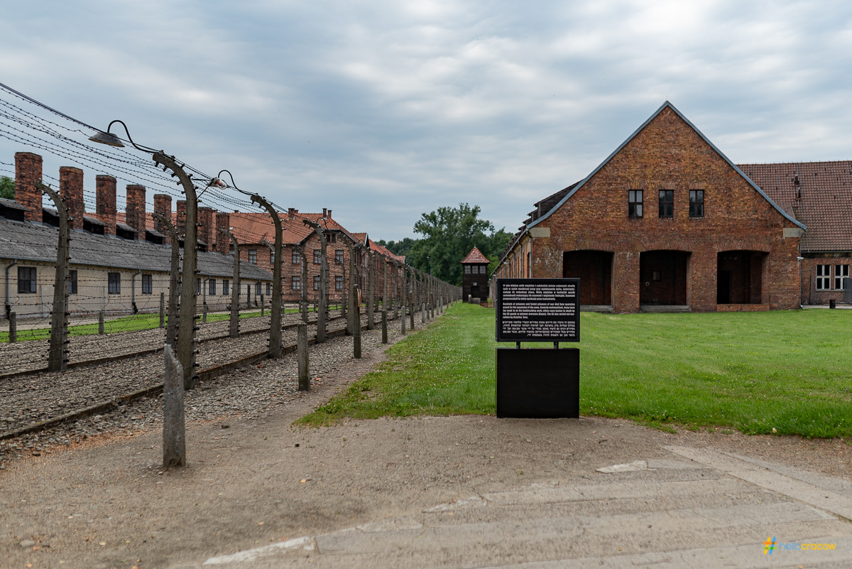 Auschwitz-Birkenau & Wieliczka Salt Mine – One-Day Trip Full of History 