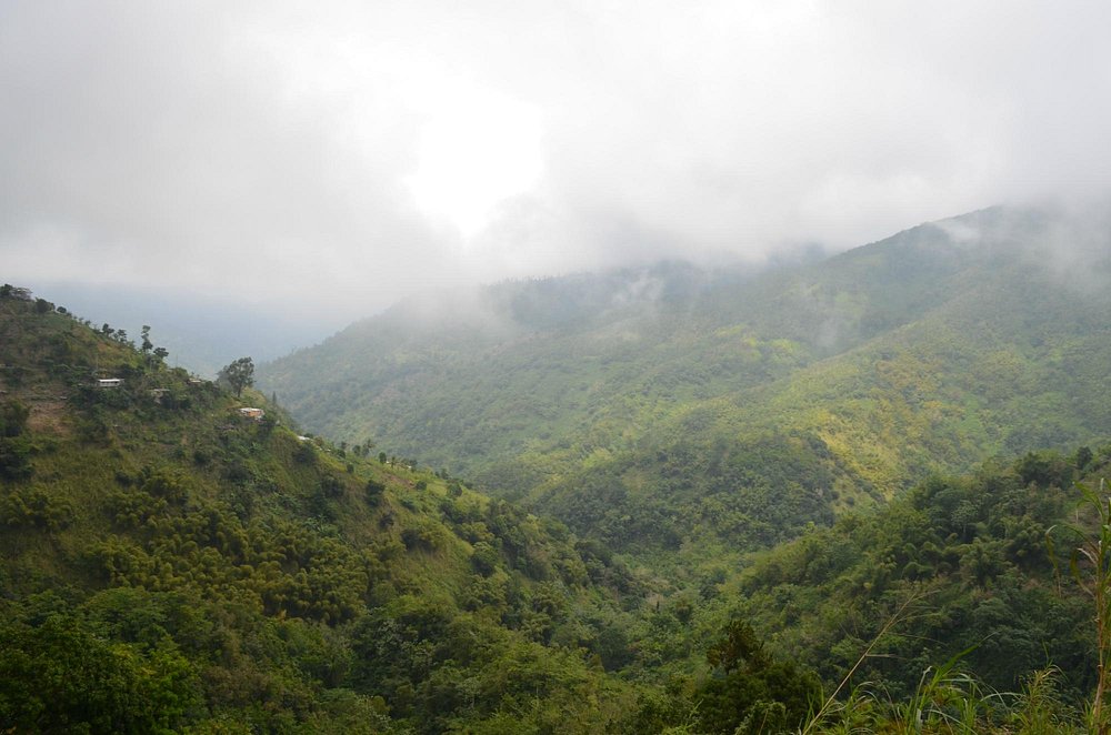 At The Peak, la experiencia Blue Mountain en Jamaica