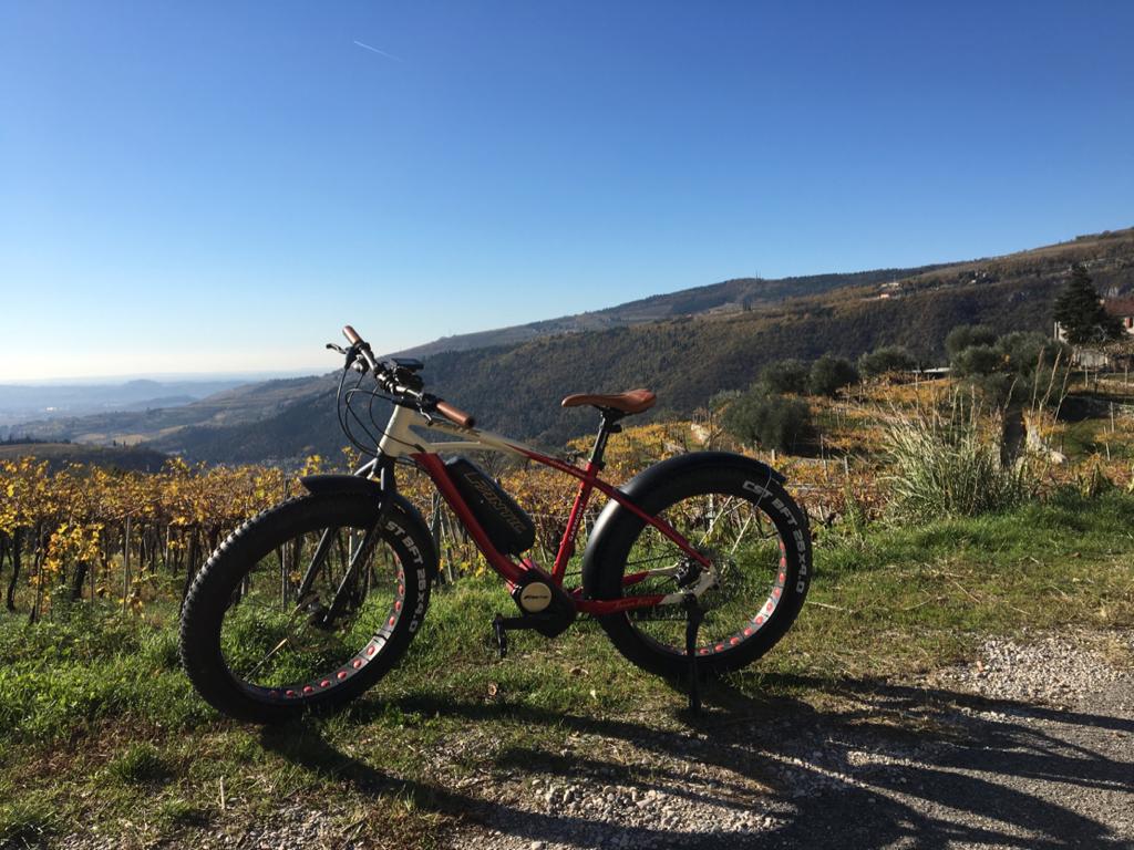 E-bike tour with Amarone tasting - Photo 7