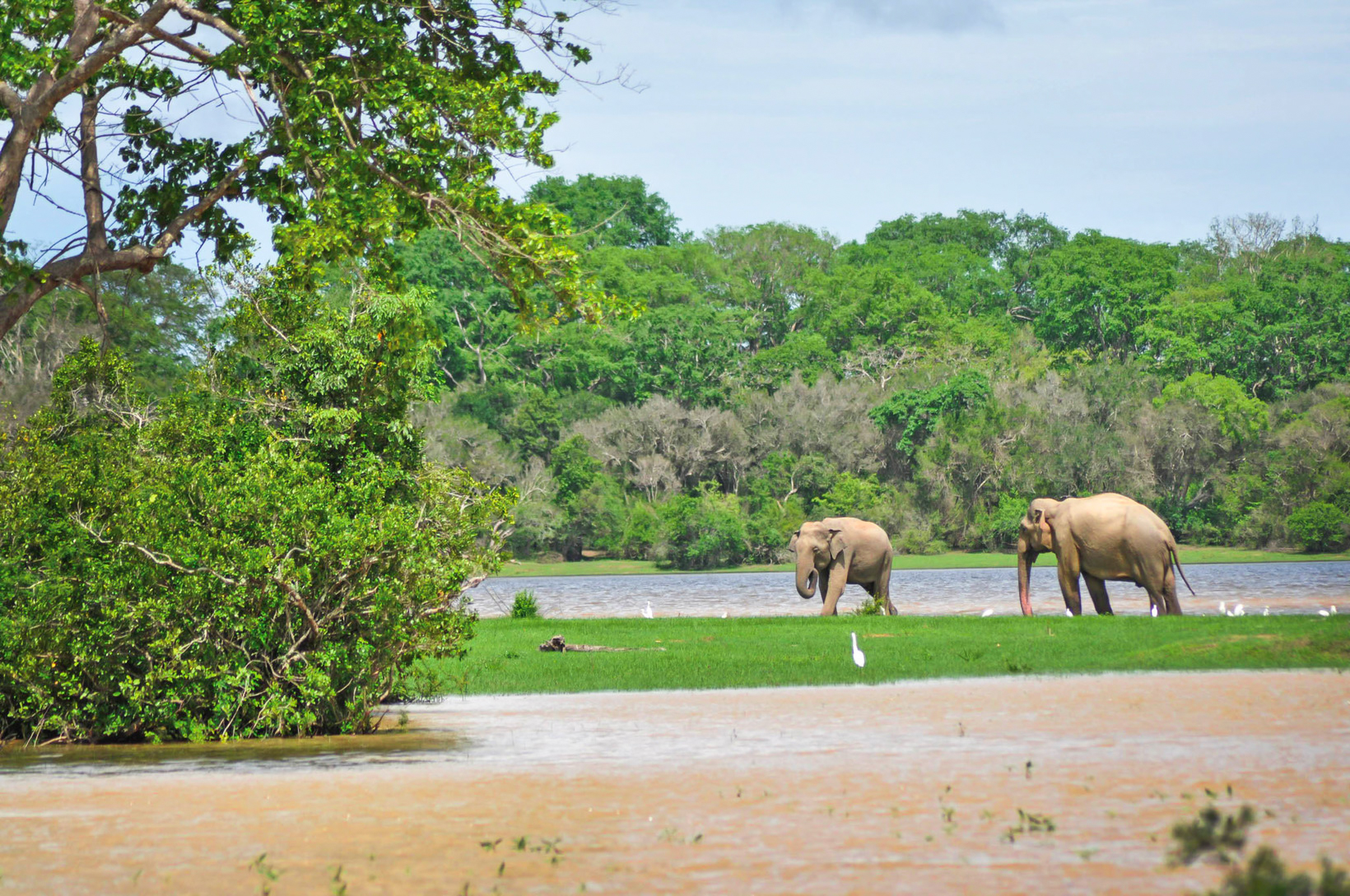 Lahugala Kitulana National Park  Private Safari