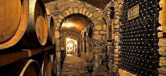 Irpinia: Wine tasting and guided tour - Photo 7