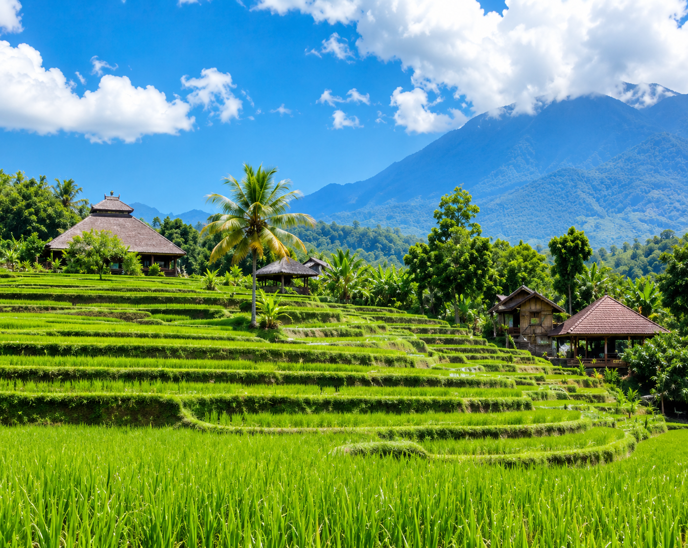 Tour de 8 días por el exótico Bali: aventura, cultura y naturaleza - Foto 5
