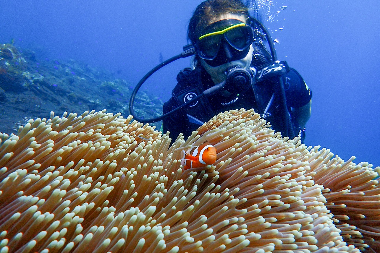 Buceo divertido en Tulamben para buceadores certificados en Shipwreck y Coral Garden