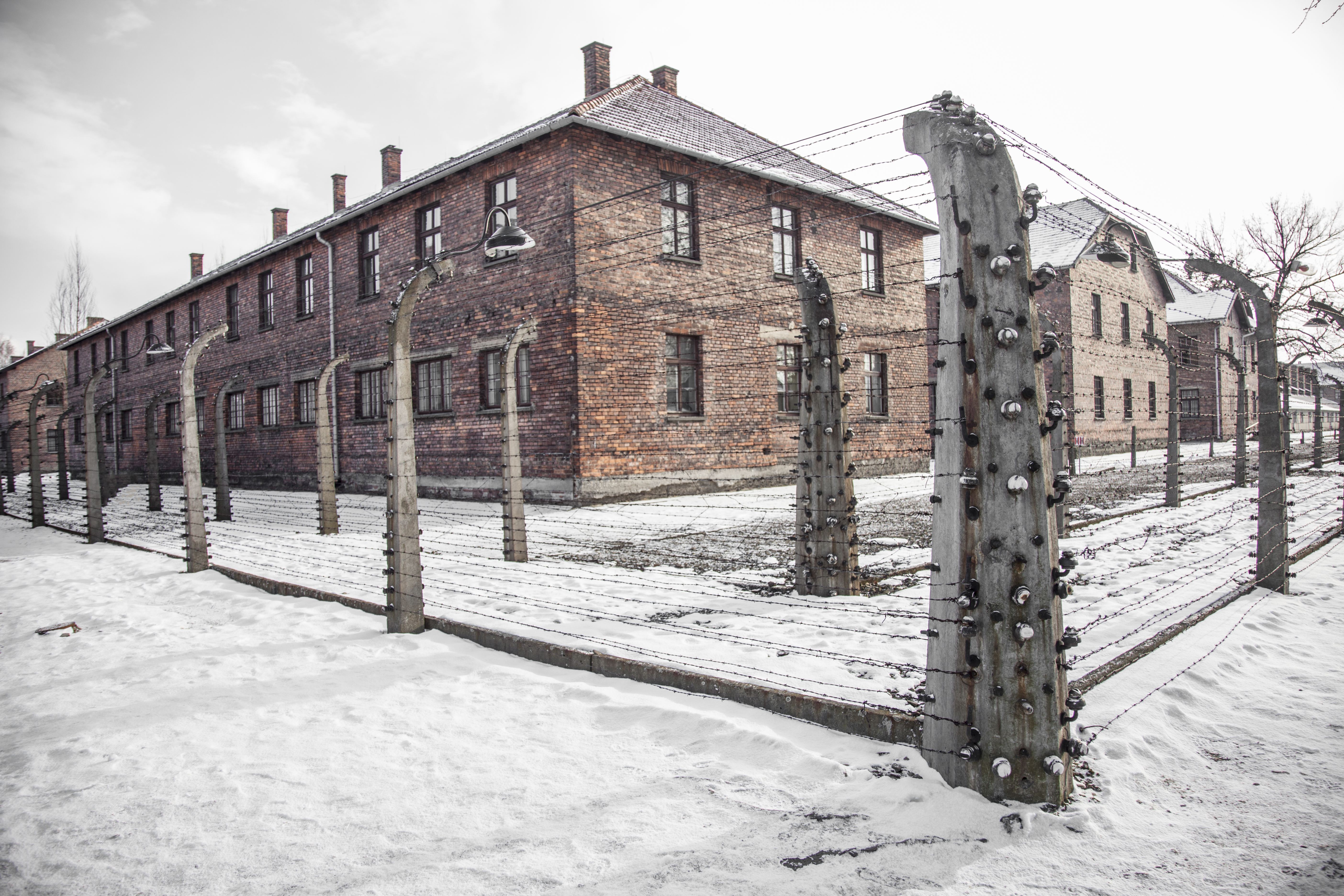 Auschwitz-Birkenau Memorial and Wieliczka Salt Mine 1 Day Guided Tour
