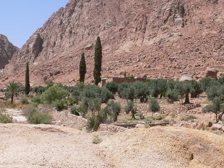 Tour to St. Catherine’s Monastery & the Valley of Zaga