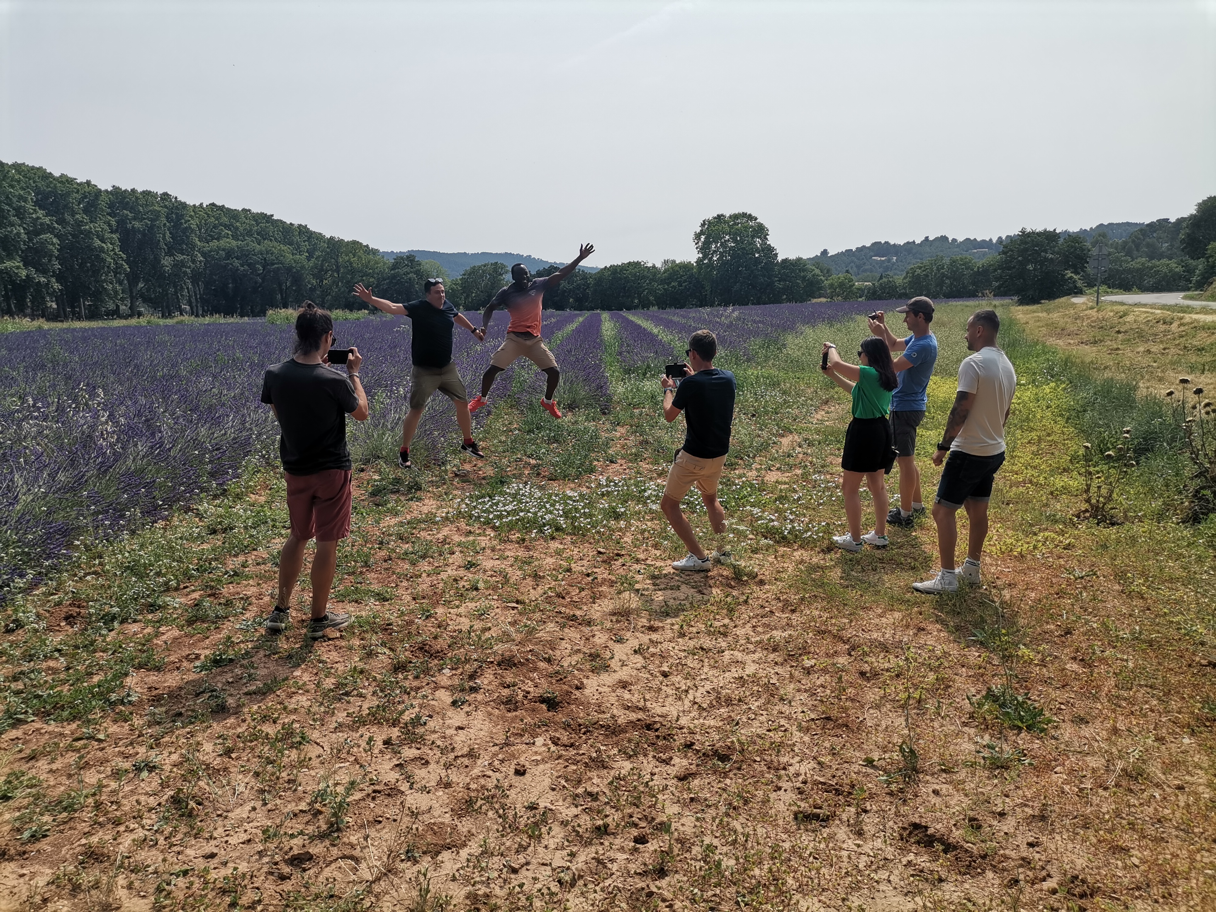 The vineyards of the Coteaux d'Aix-en-Provence and the Sainte-Victoire Mountain - Photo 20