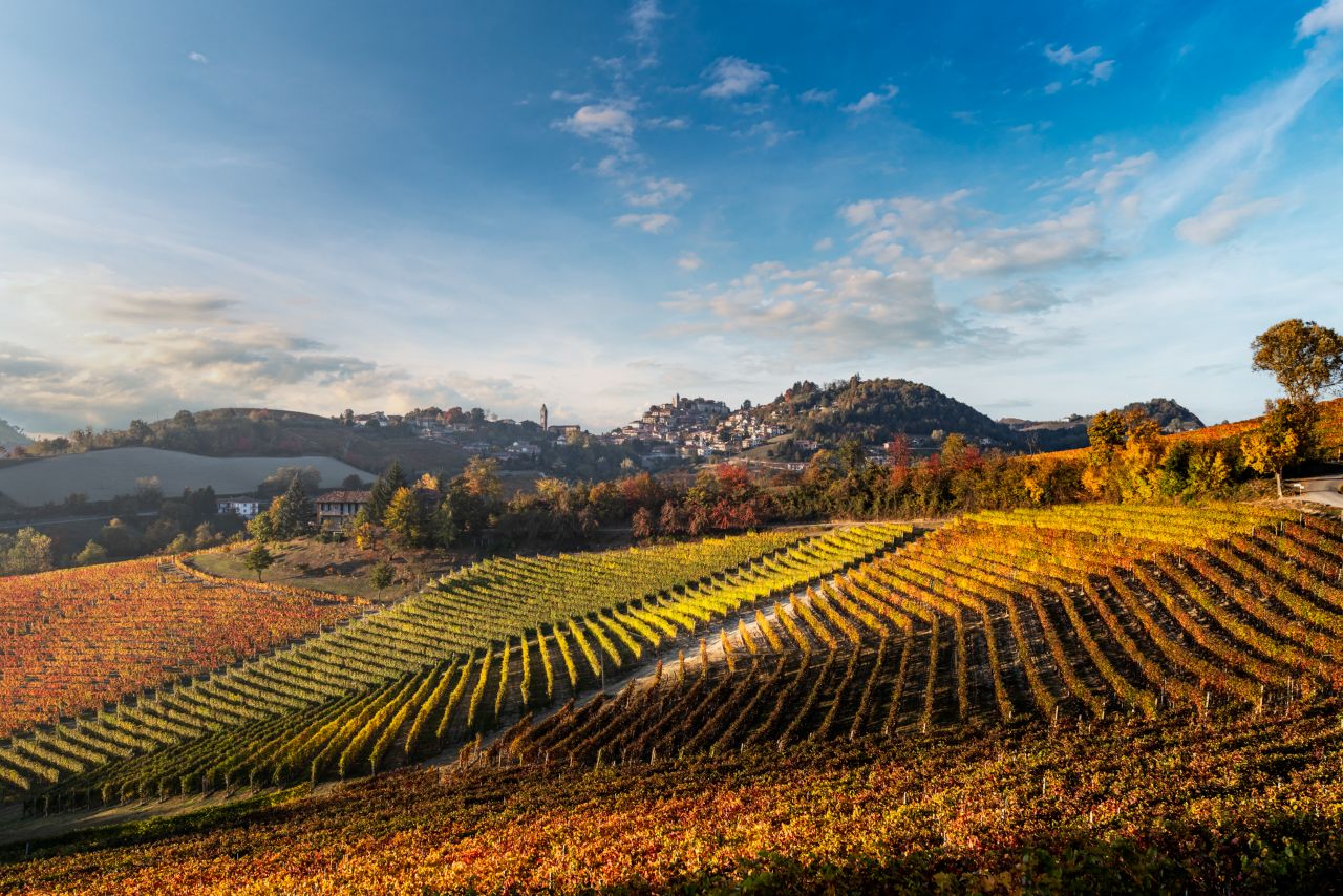 Il Monsù: A Journey through Nebbiolo, Barbaresco, and Barolo - Photo 9
