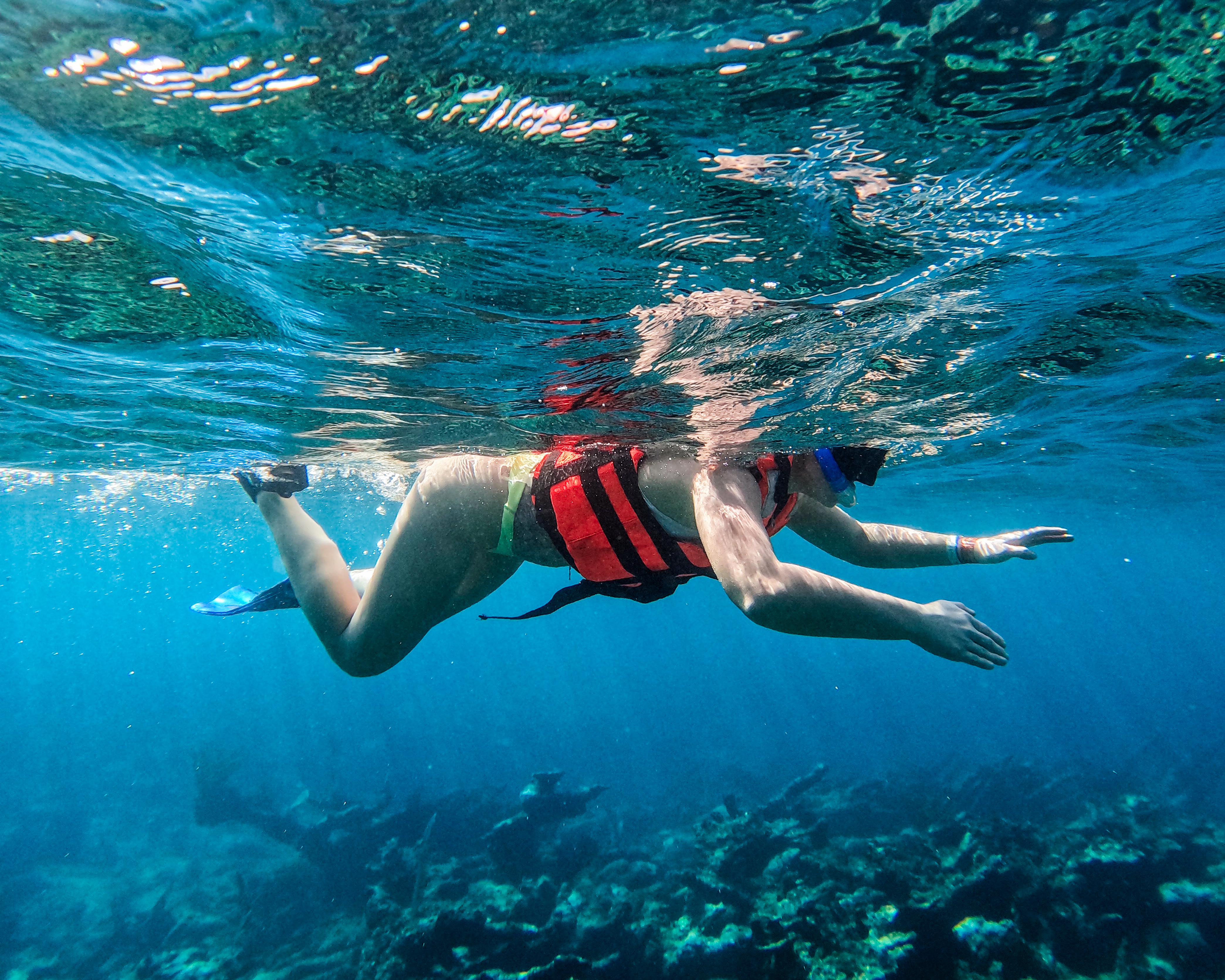 2 horas de Snorkeling en dos puntos del arrecife de Tulum — 38/78