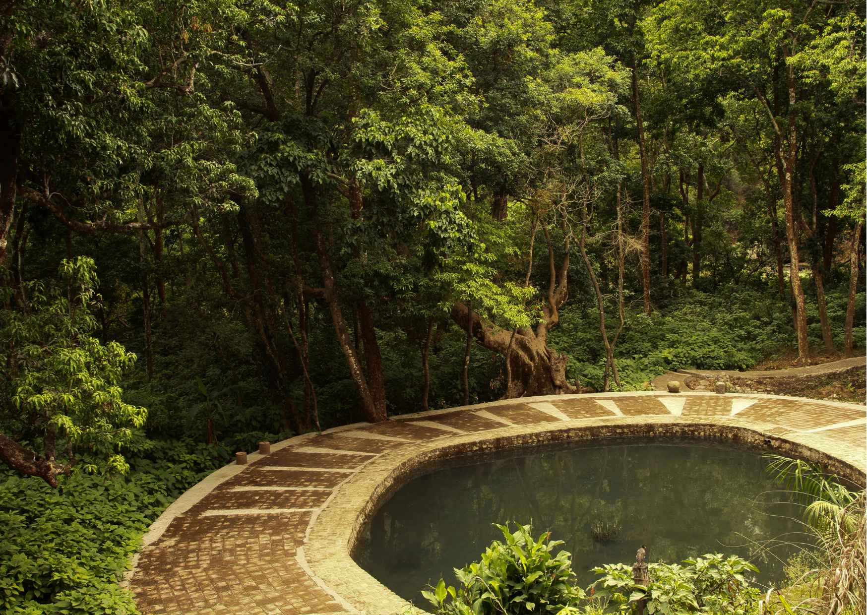 Explore the best of forest & nature in Nainital (4.5 hours Guided Tour)  - Photo 7