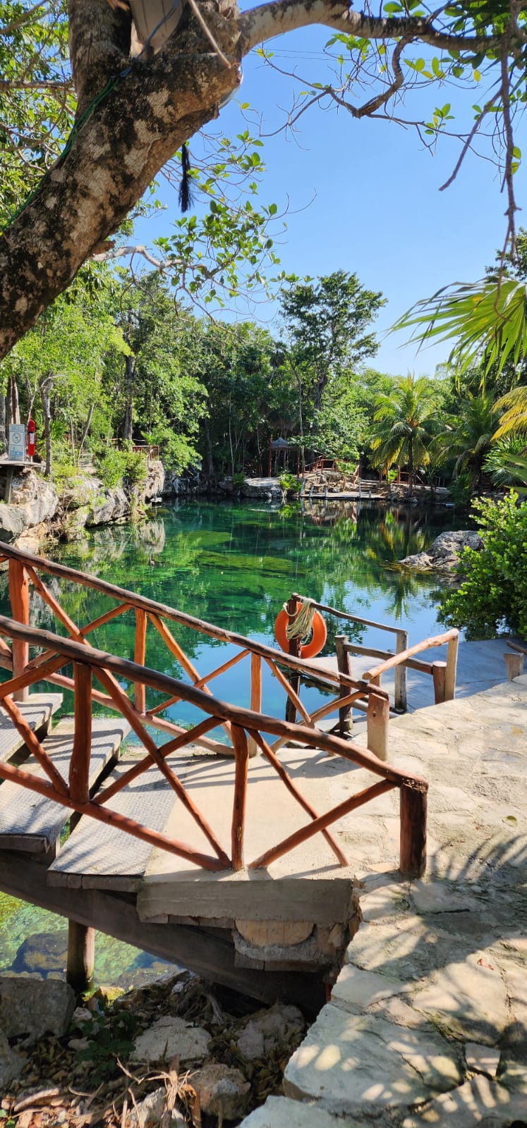 Casa Tortuga Silver – Experiencia en Cenotes — 13/13