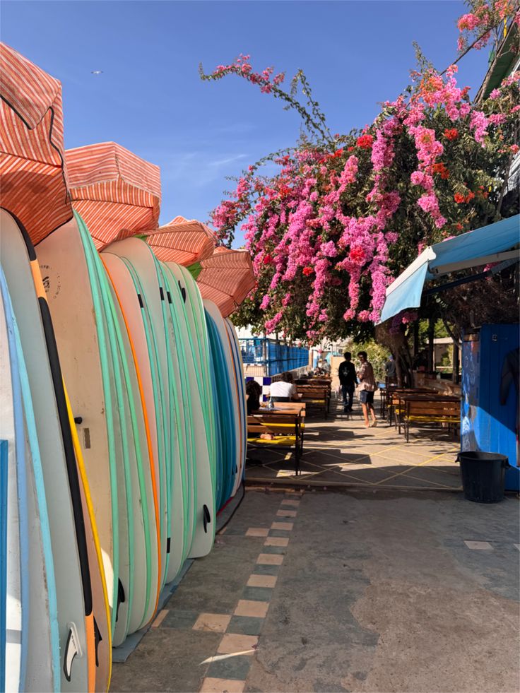 Surf y alma — Taghazout Escape from Agadir