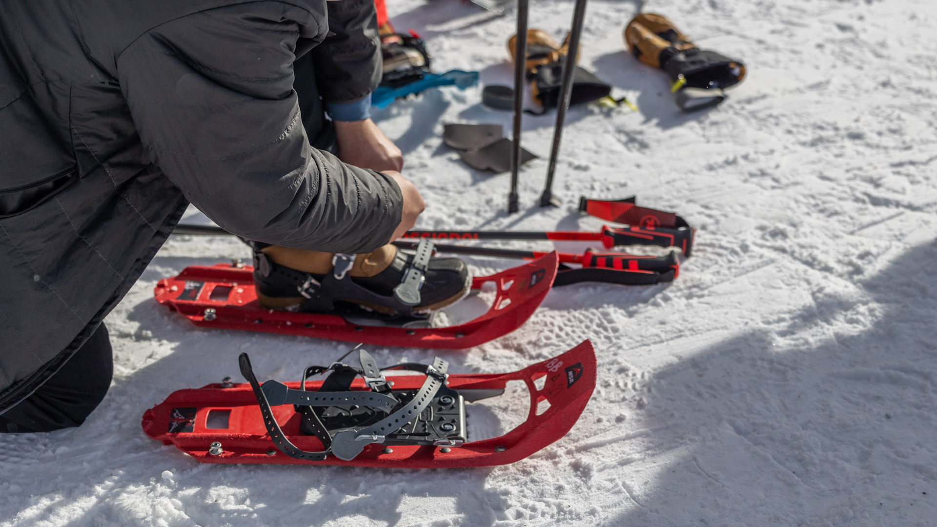 SISU Snowshoeing Day Experience – Arctic Forest Adventure