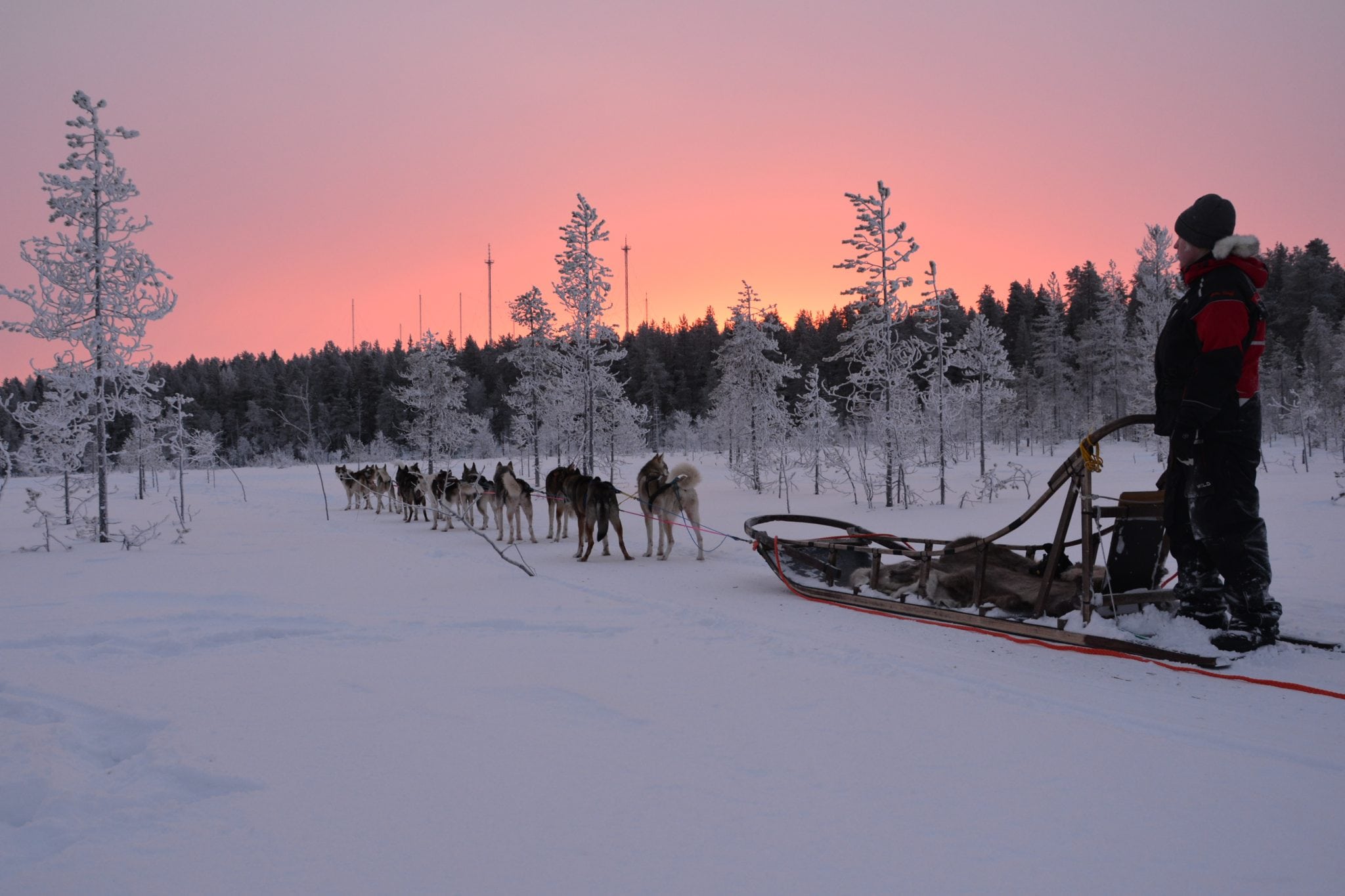 Visita a Granja de Huskies y Safari en Trineo en Grupo Reducido - Alojamientos en Rovaniemi