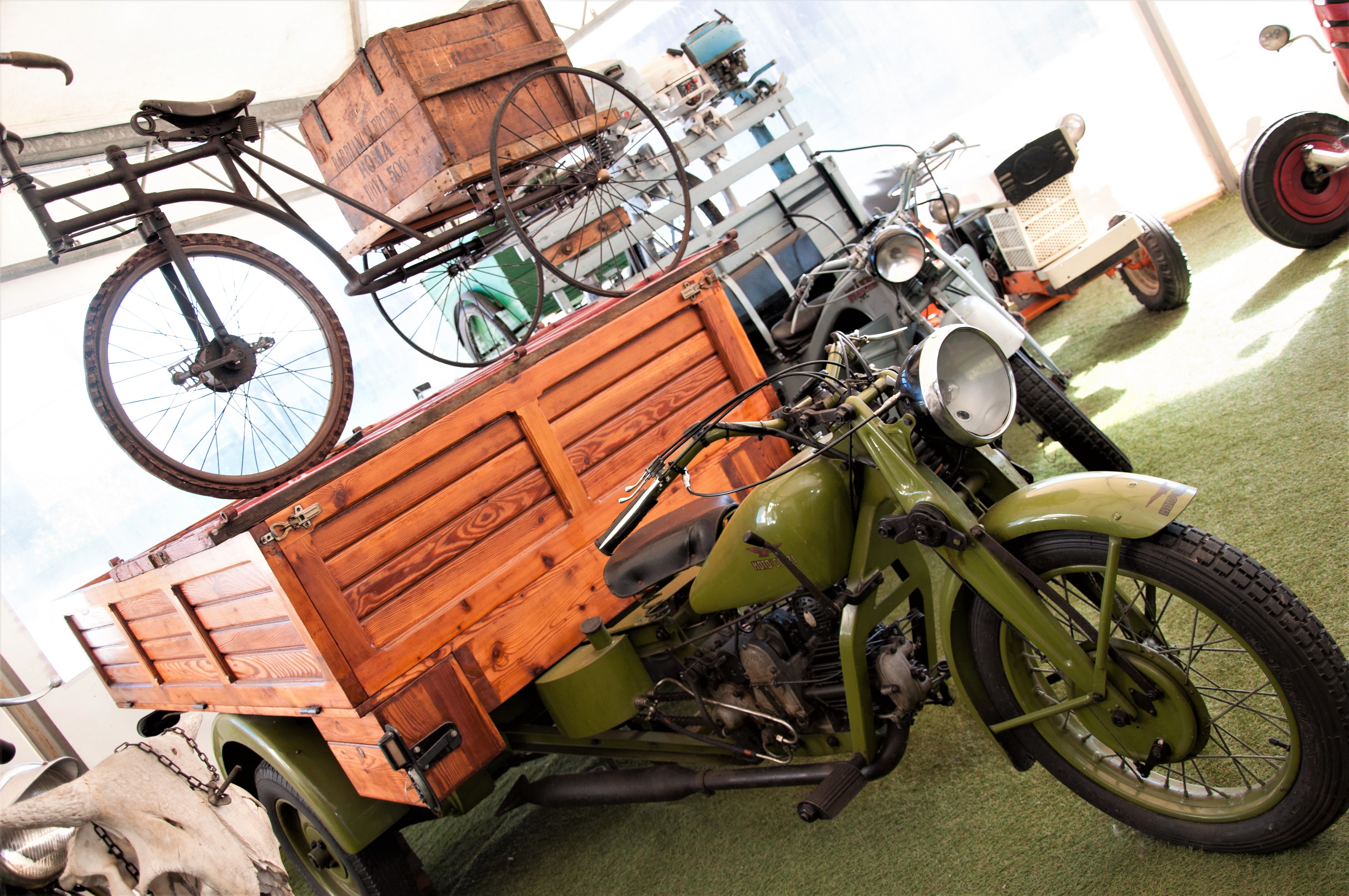 Rimini: Vintage Thrills at the National Motorcycle Museum - Photo 16