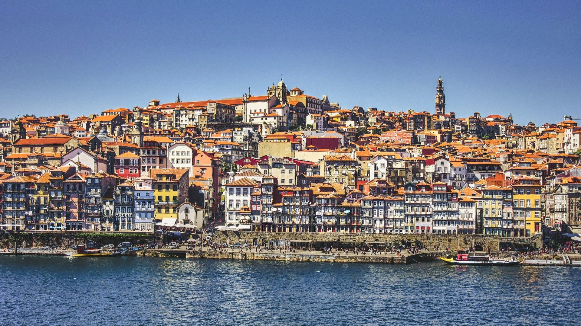 Private Porto Full-Day Tour: Cathedral, Lello and Wine Tastings - Photo 21