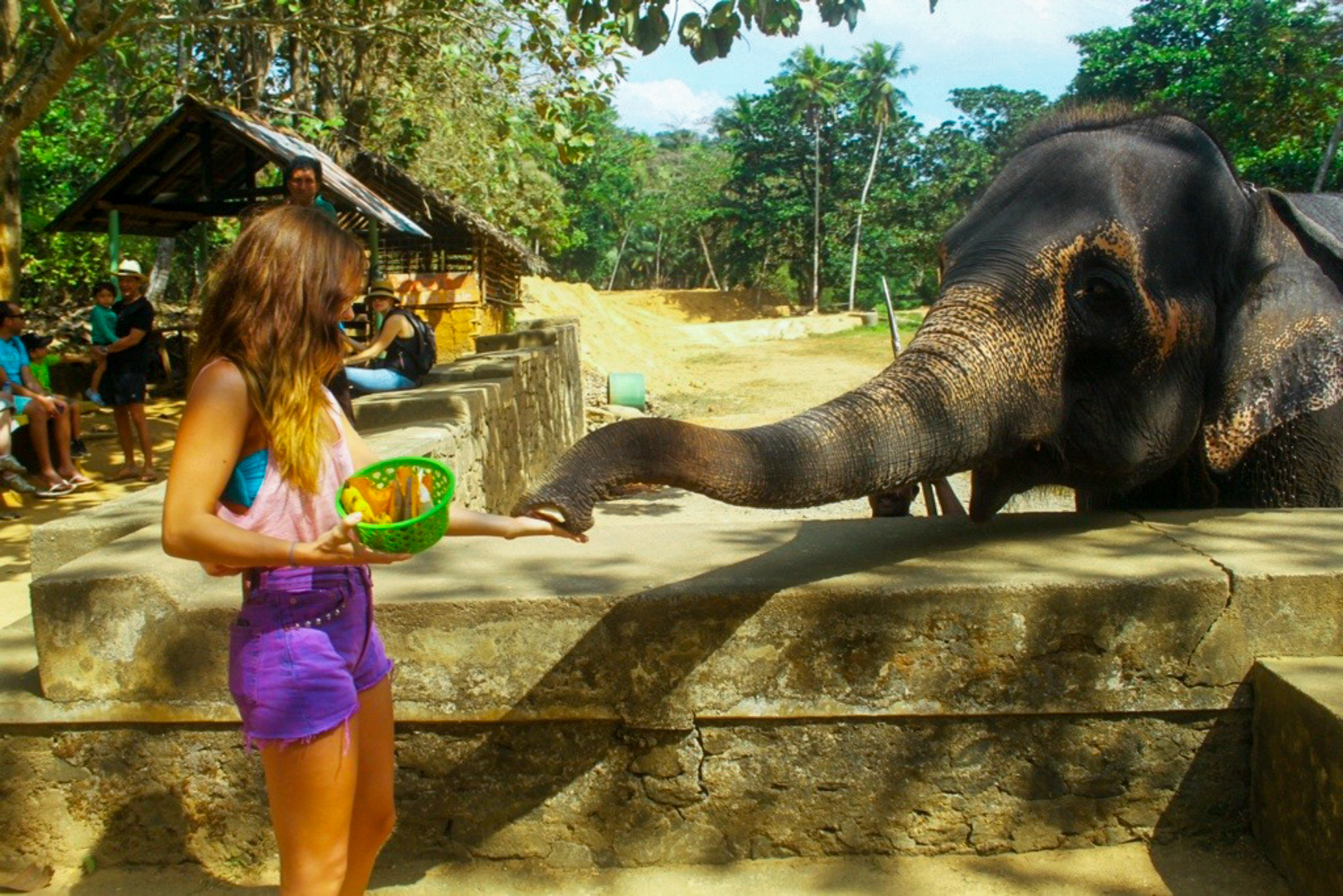 Pinnawala Elephant Orphanage from Kalutara