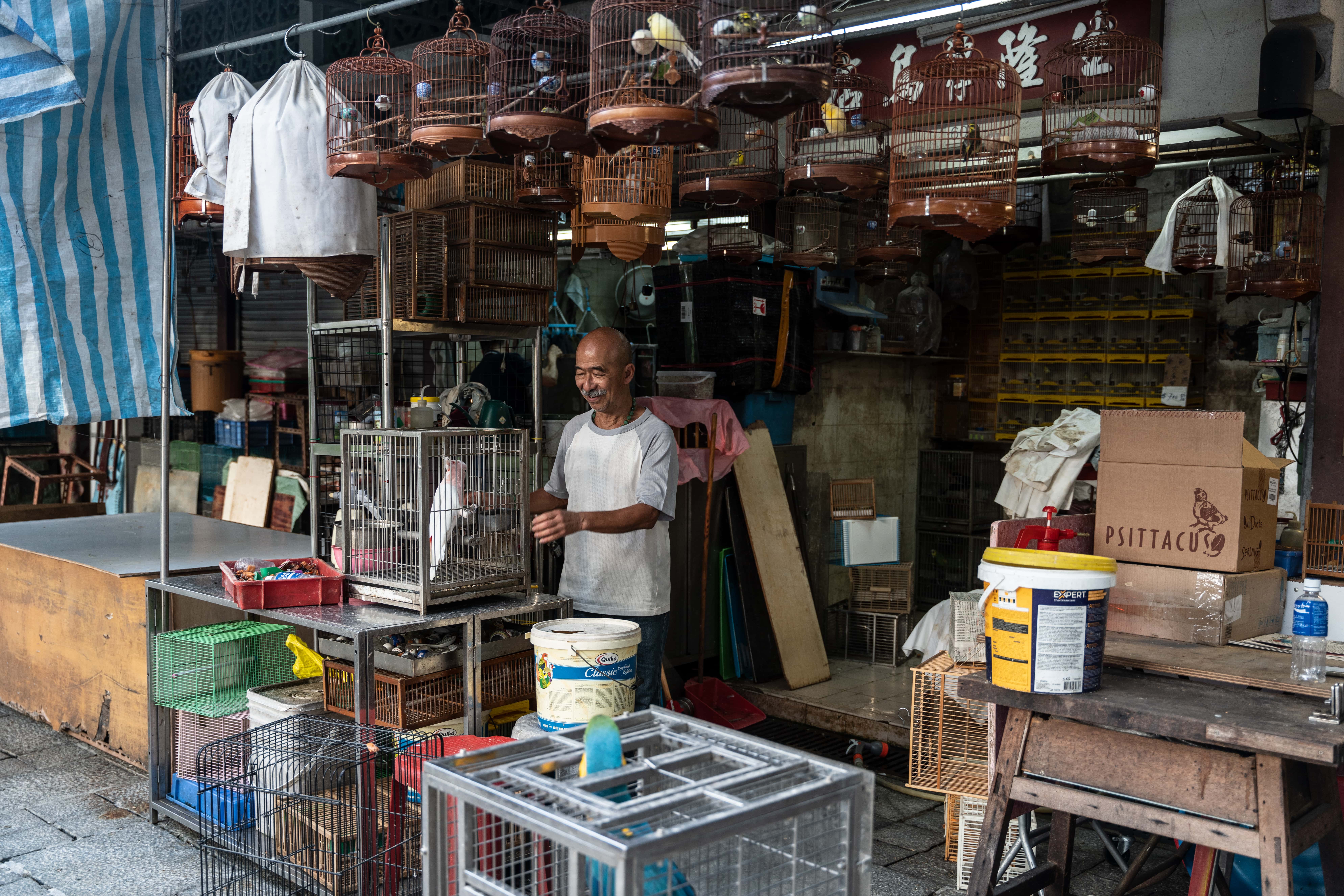 Kowloon Guided Tour in Private Service - Accommodations in Hong Kong