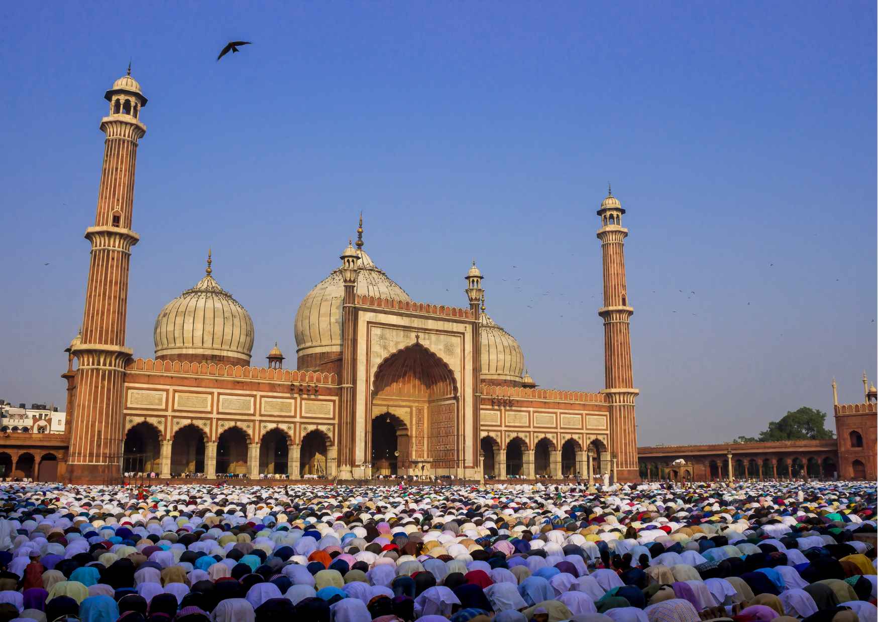 Heritage & Cultural Trails of Delhi - Photo 8