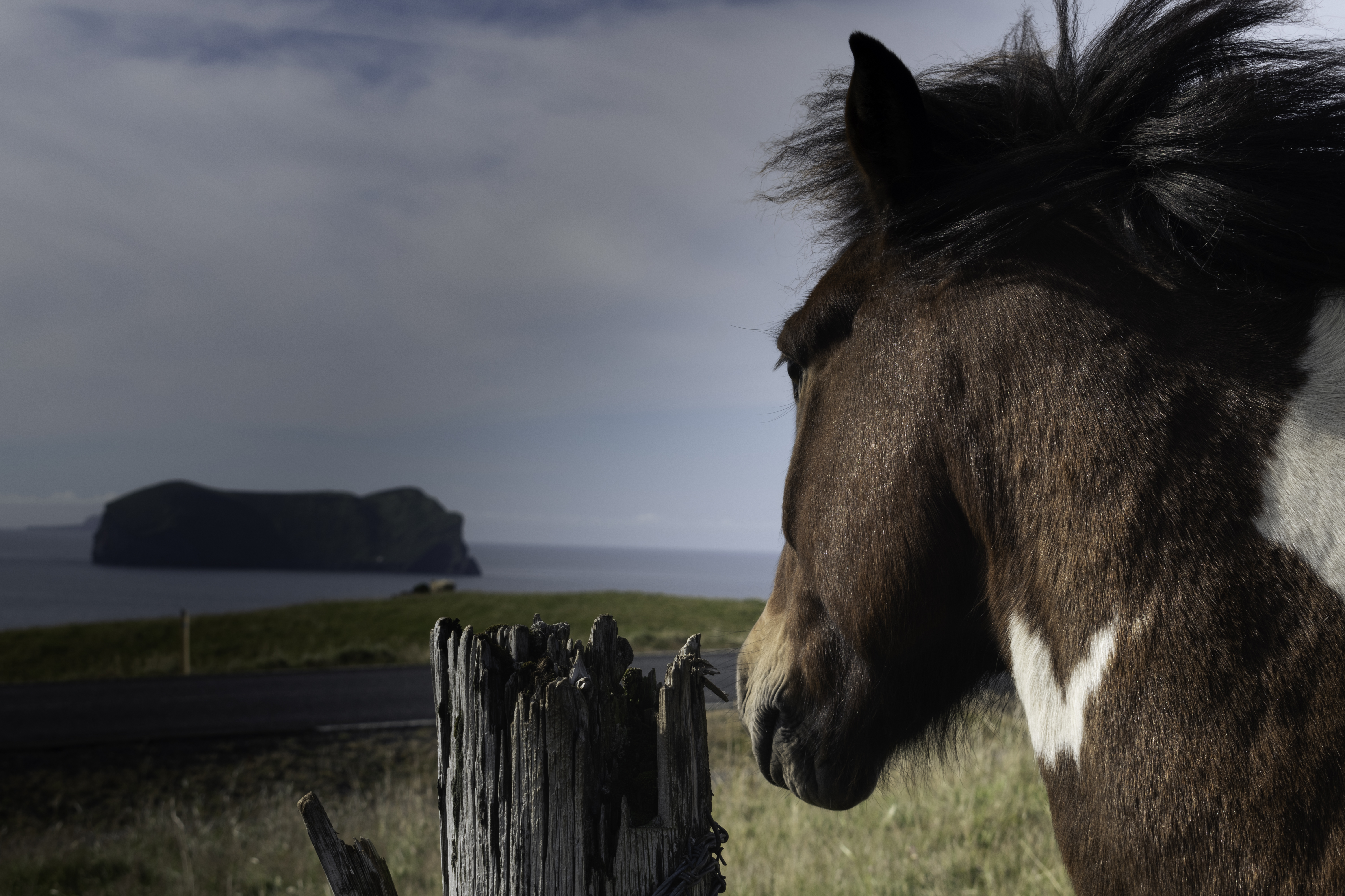 Private SuperJeep tour to the Westman Islands: History and Natural Wonders - photo 4