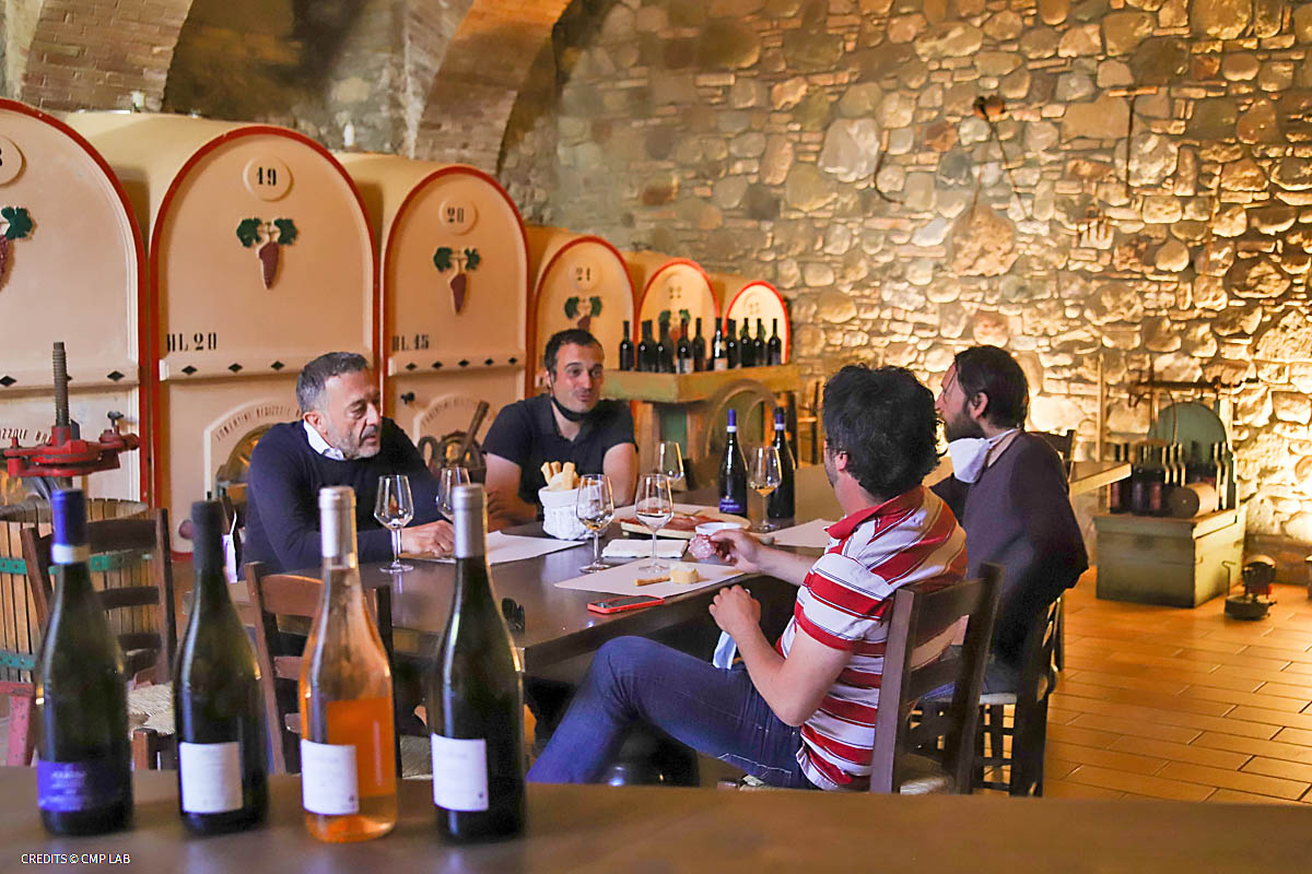 Vineyard Tour and Tasting of Lugana Wines - Photo 7