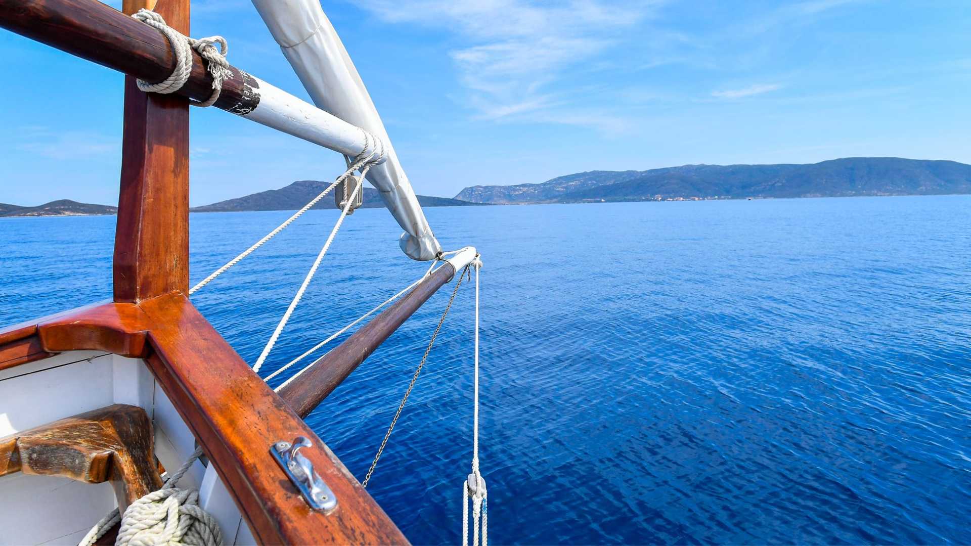 From Stintino: sailing trip to Asinara - Photo 17