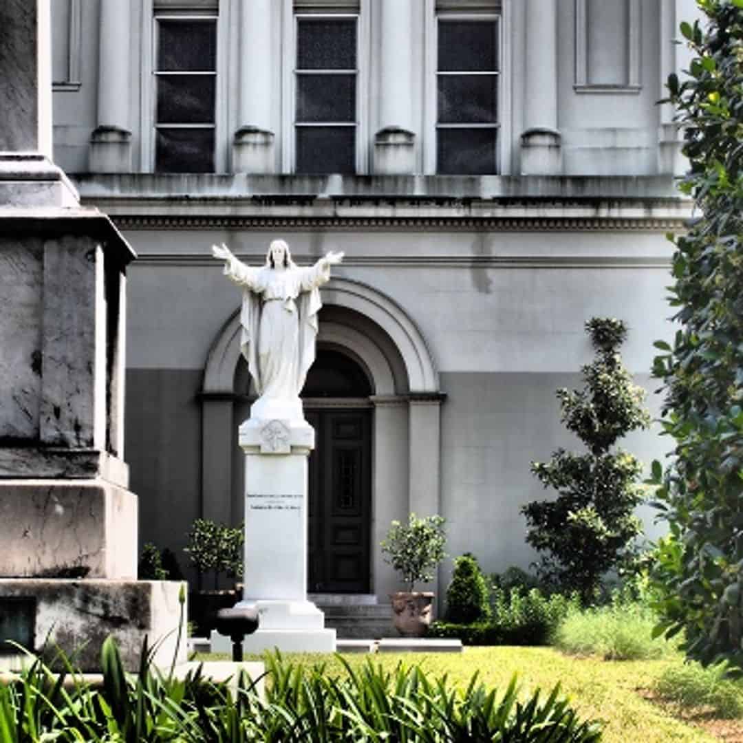 New Orleans Pass ( Per day) - Photo 15