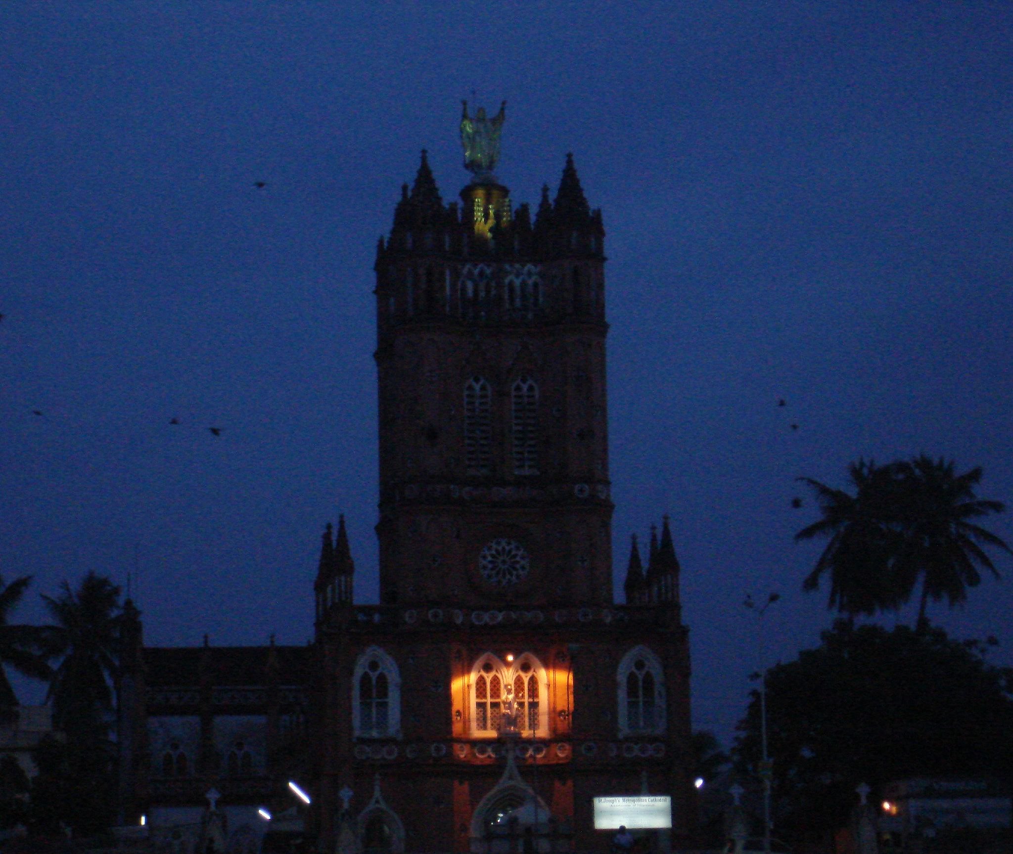 NIGHT WALK TOUR TRIVANDRUM - Photo 2