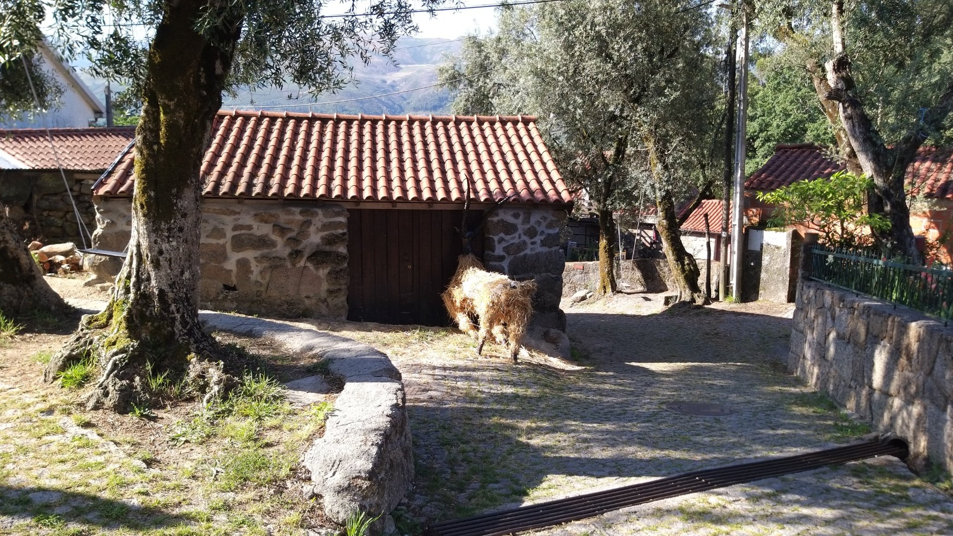 Private Gerês Tour from Porto: Waterfalls, Viewpoints and Thermal Villages - Photo 11