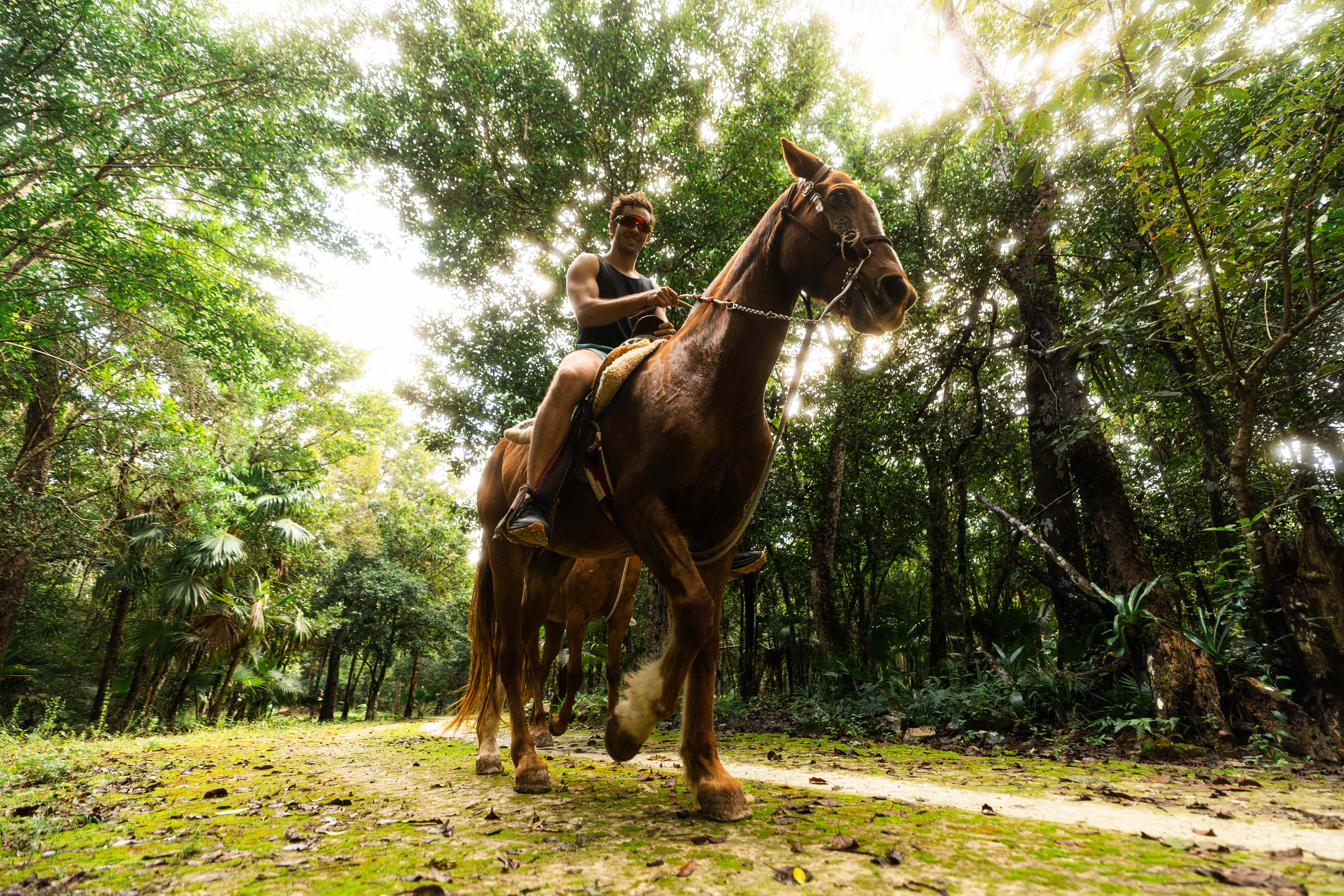 Extreme Horses Adventure con ATV compartido, tirolesas y cenote