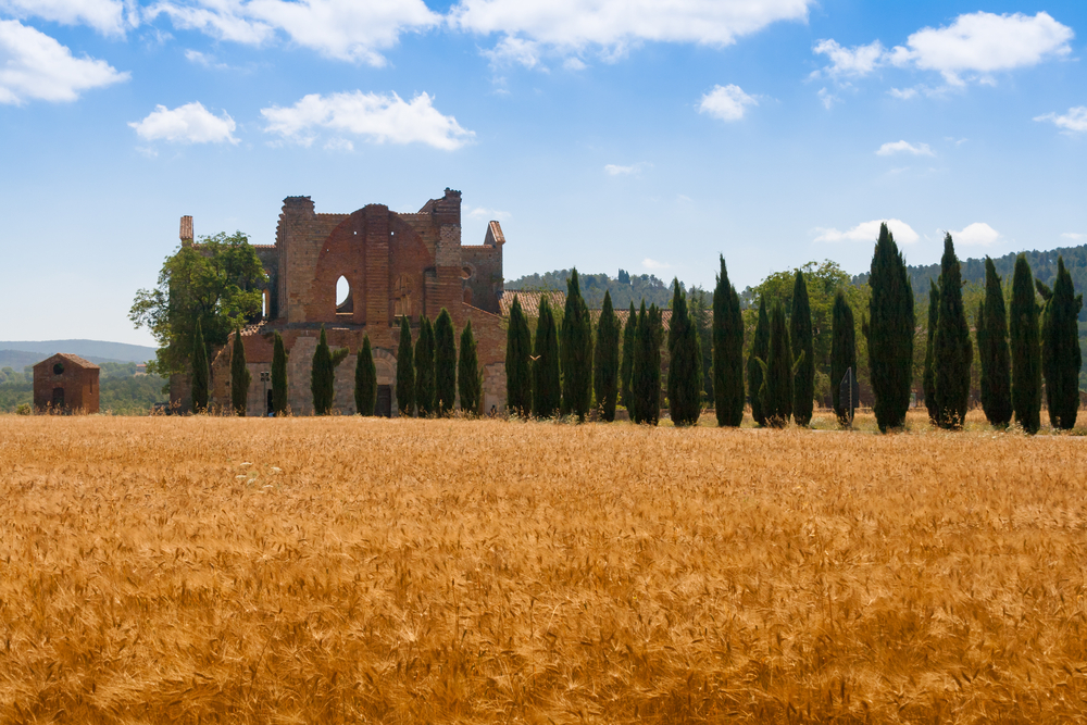 Discovering Tuscany's hidden treasures: San Gimignano, Volterra and San Galgano mysterious Abbey day trip from Florence - Photo 6