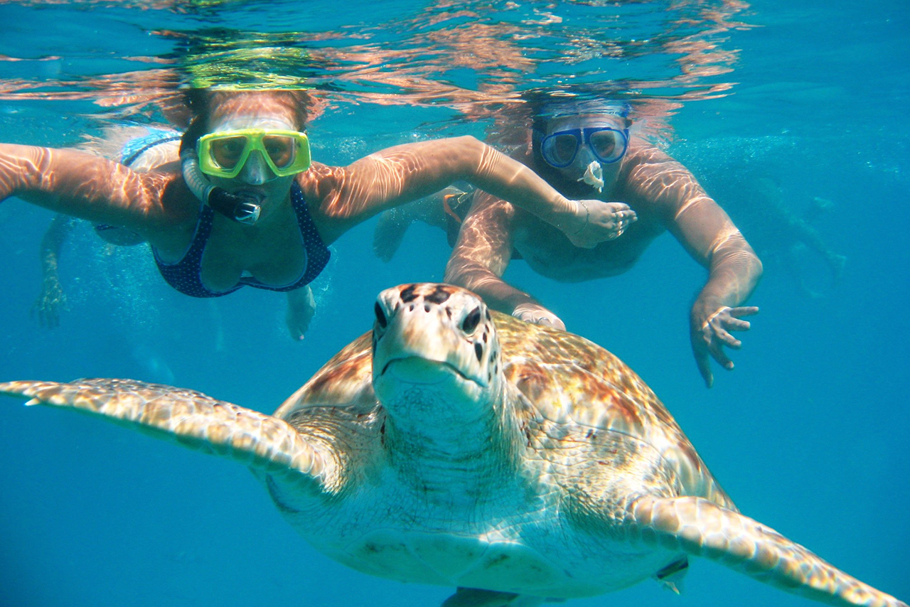 Man-01: Nadar con Tortugas - Experiencia Espectacular