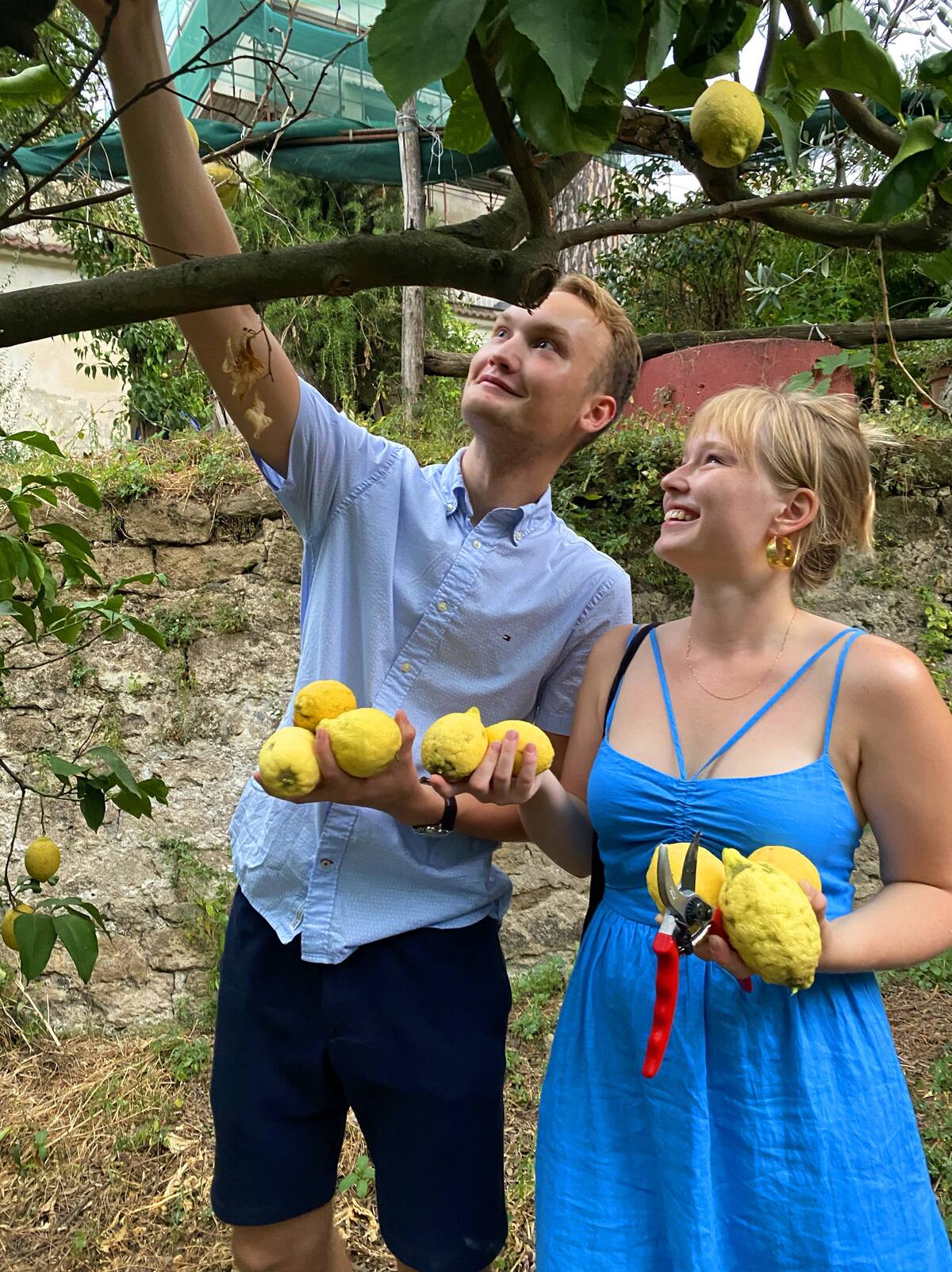 Sorrento: Authentic Lemon Experience at a Local Farmhouse - Photo 4
