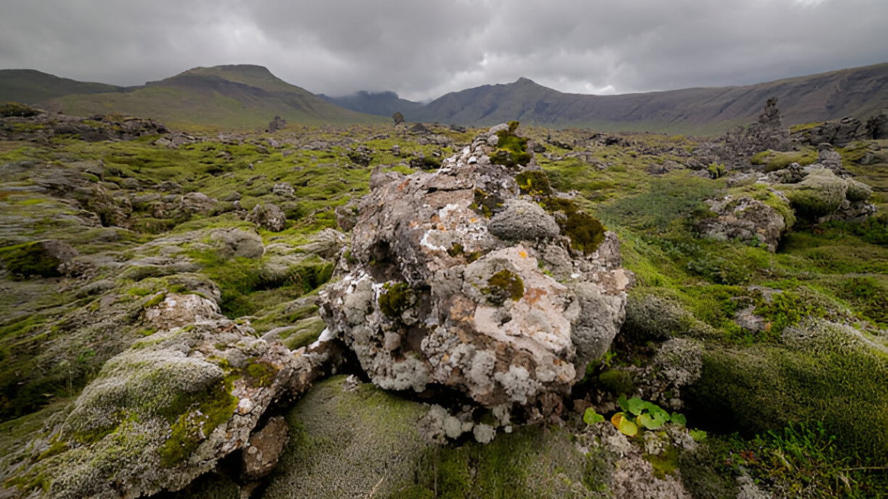 Excursión a Snaefellsnes en Español en Grupo Reducido con Recogida - Alojamientos en Reikiavik